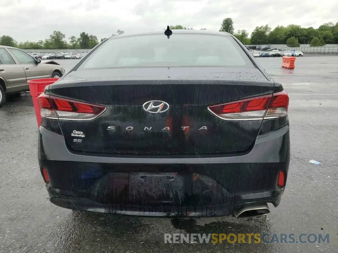 6 Photograph of a damaged car 5NPE24AF3KH786344 HYUNDAI SONATA 2019