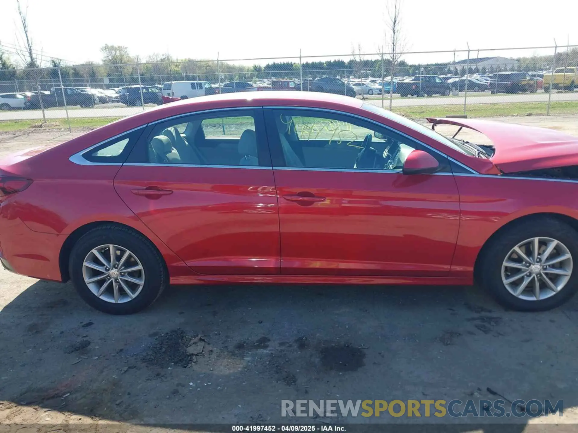 13 Photograph of a damaged car 5NPE24AF3KH790250 HYUNDAI SONATA 2019