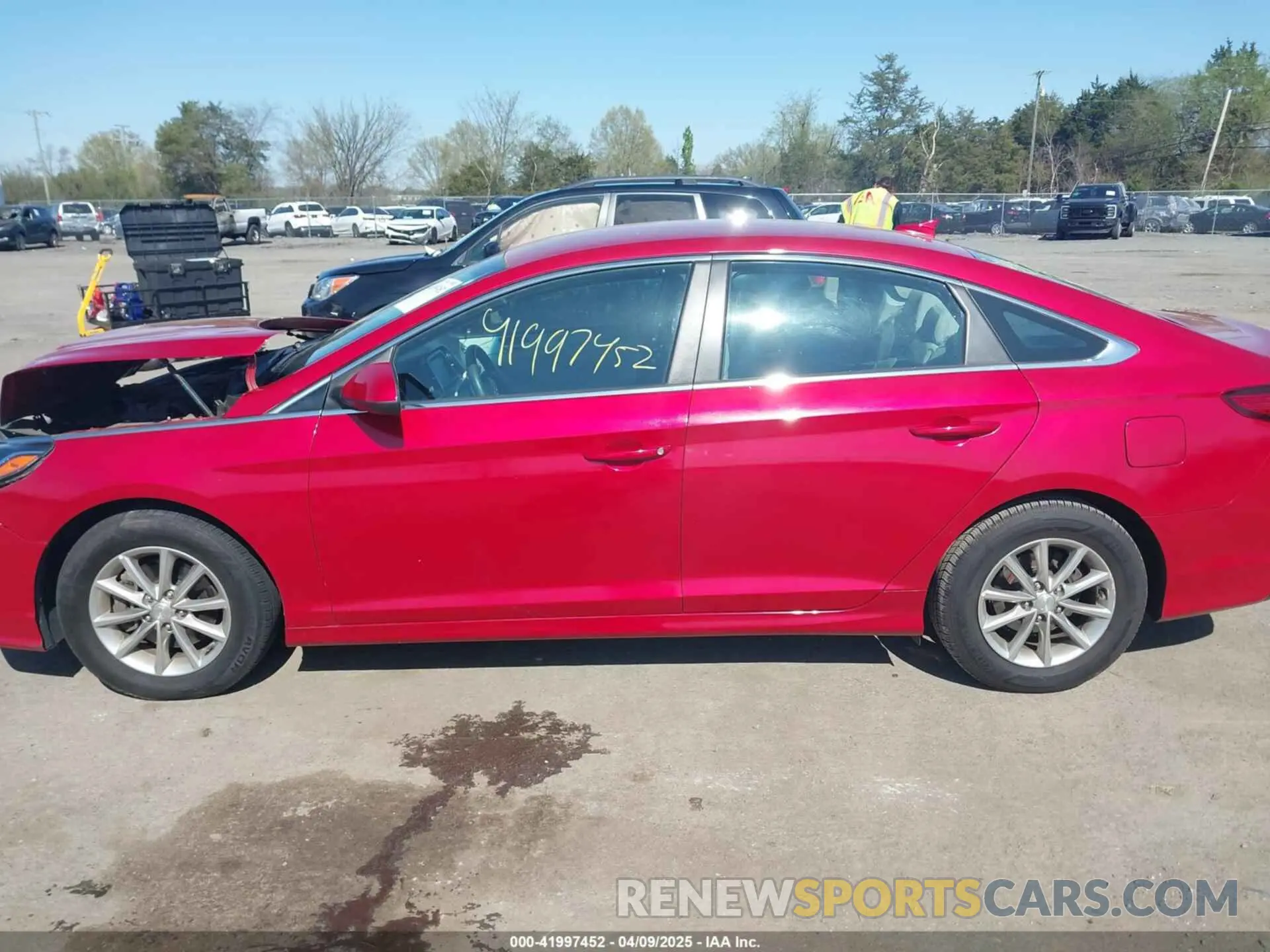 14 Photograph of a damaged car 5NPE24AF3KH790250 HYUNDAI SONATA 2019
