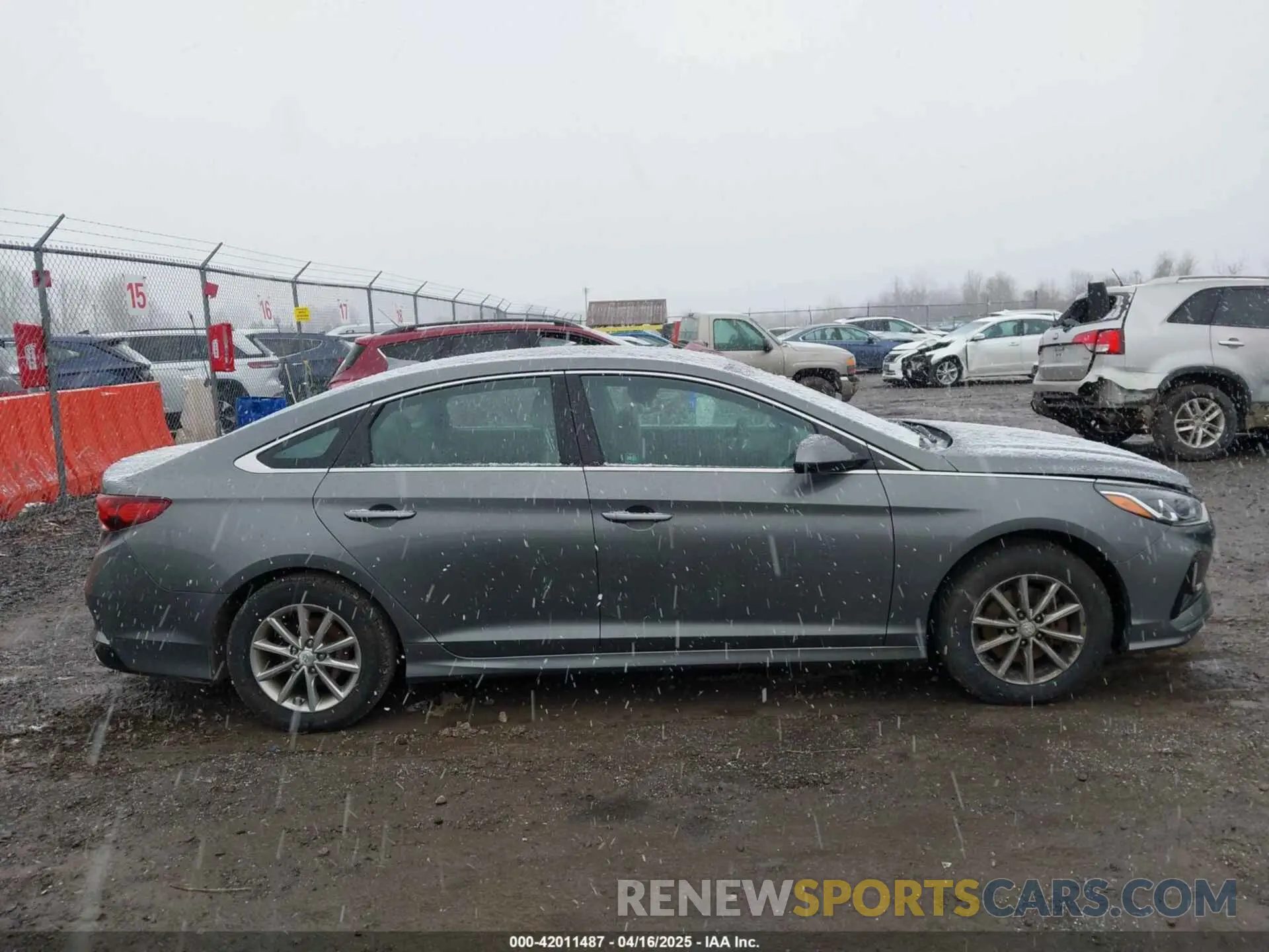 14 Photograph of a damaged car 5NPE24AF3KH798980 HYUNDAI SONATA 2019
