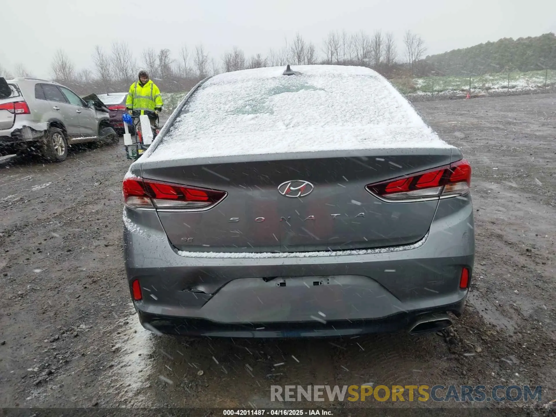 6 Photograph of a damaged car 5NPE24AF3KH798980 HYUNDAI SONATA 2019