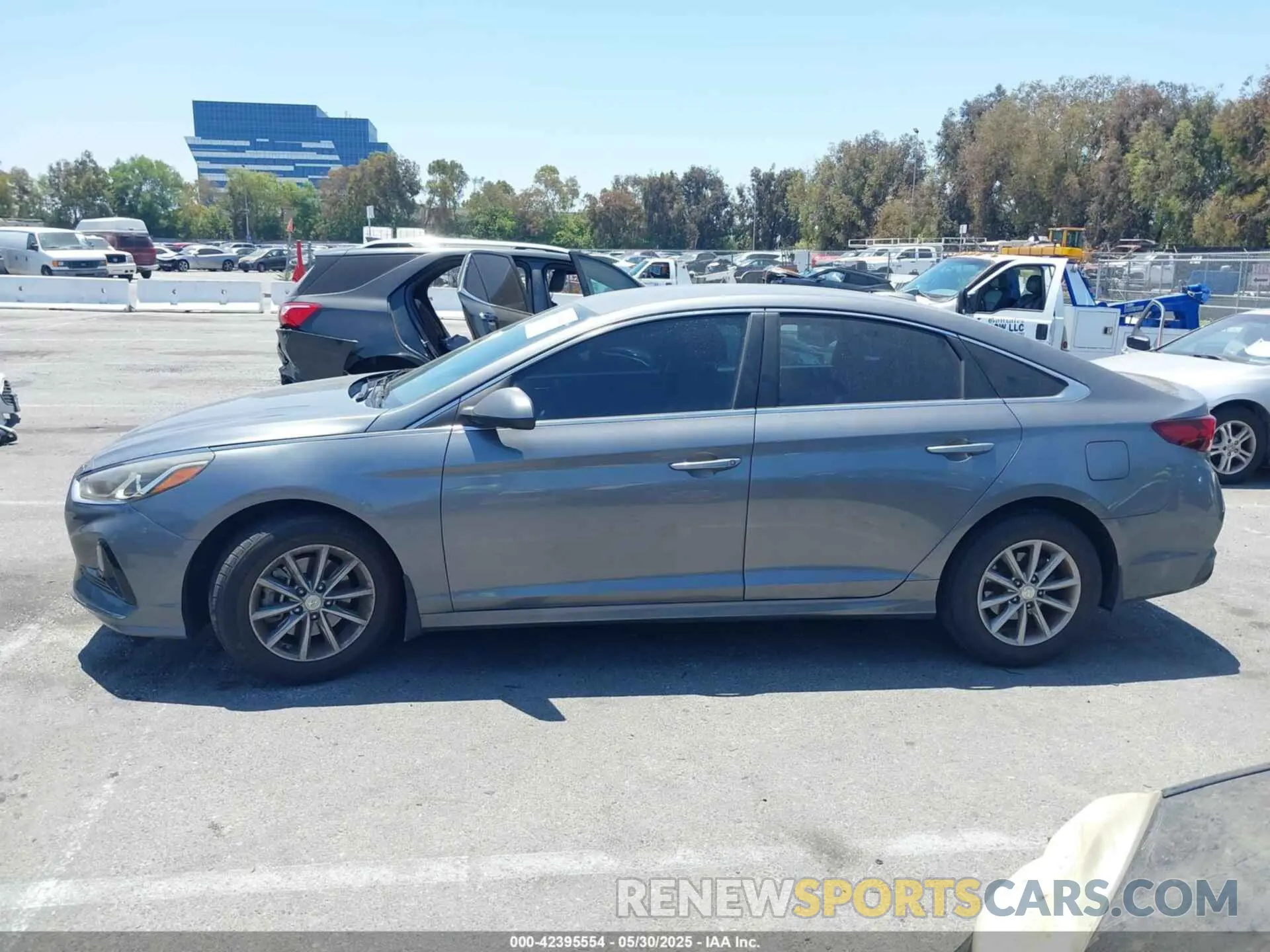 13 Photograph of a damaged car 5NPE24AF3KH805359 HYUNDAI SONATA 2019