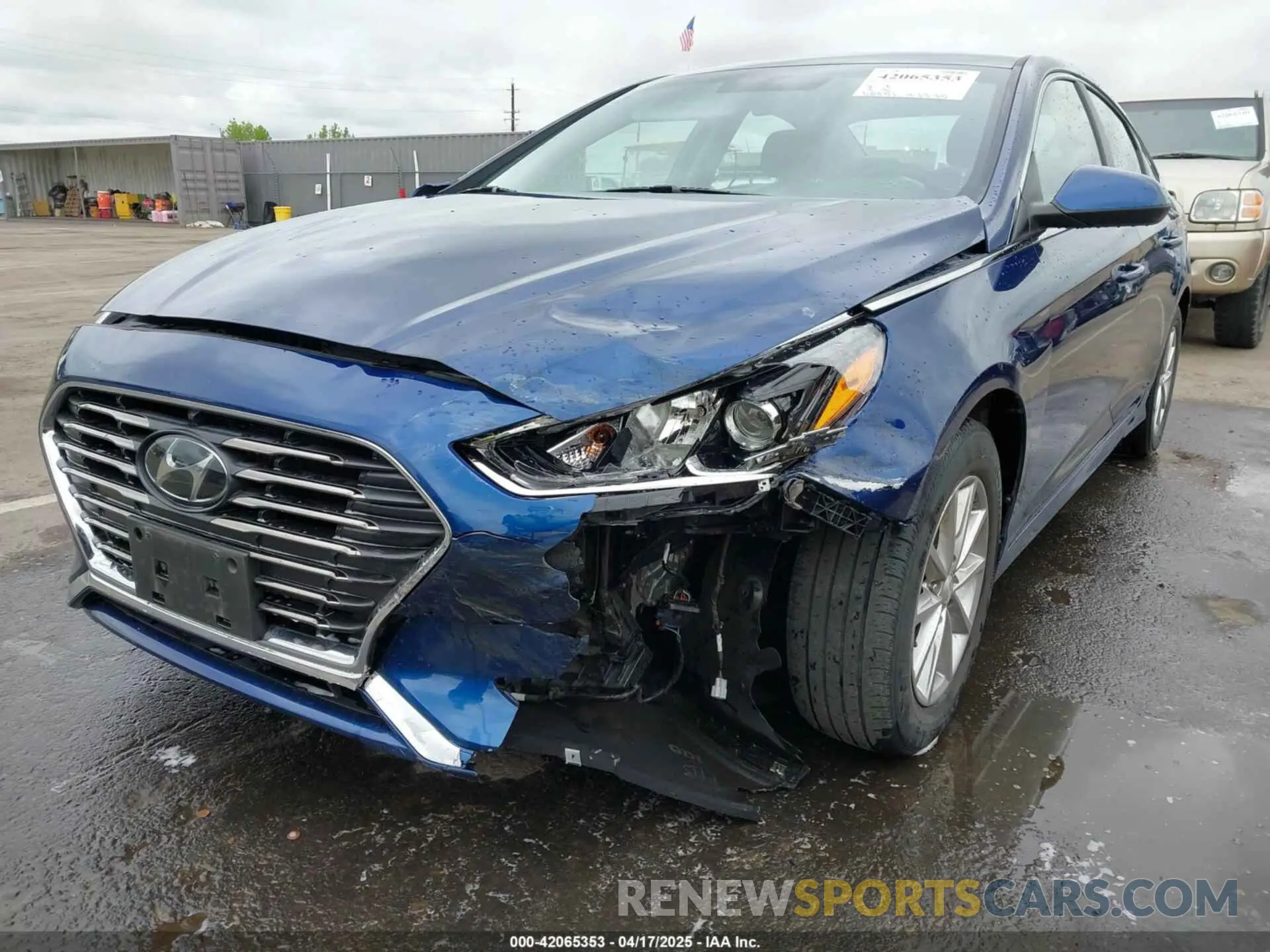 6 Photograph of a damaged car 5NPE24AF3KH810724 HYUNDAI SONATA 2019