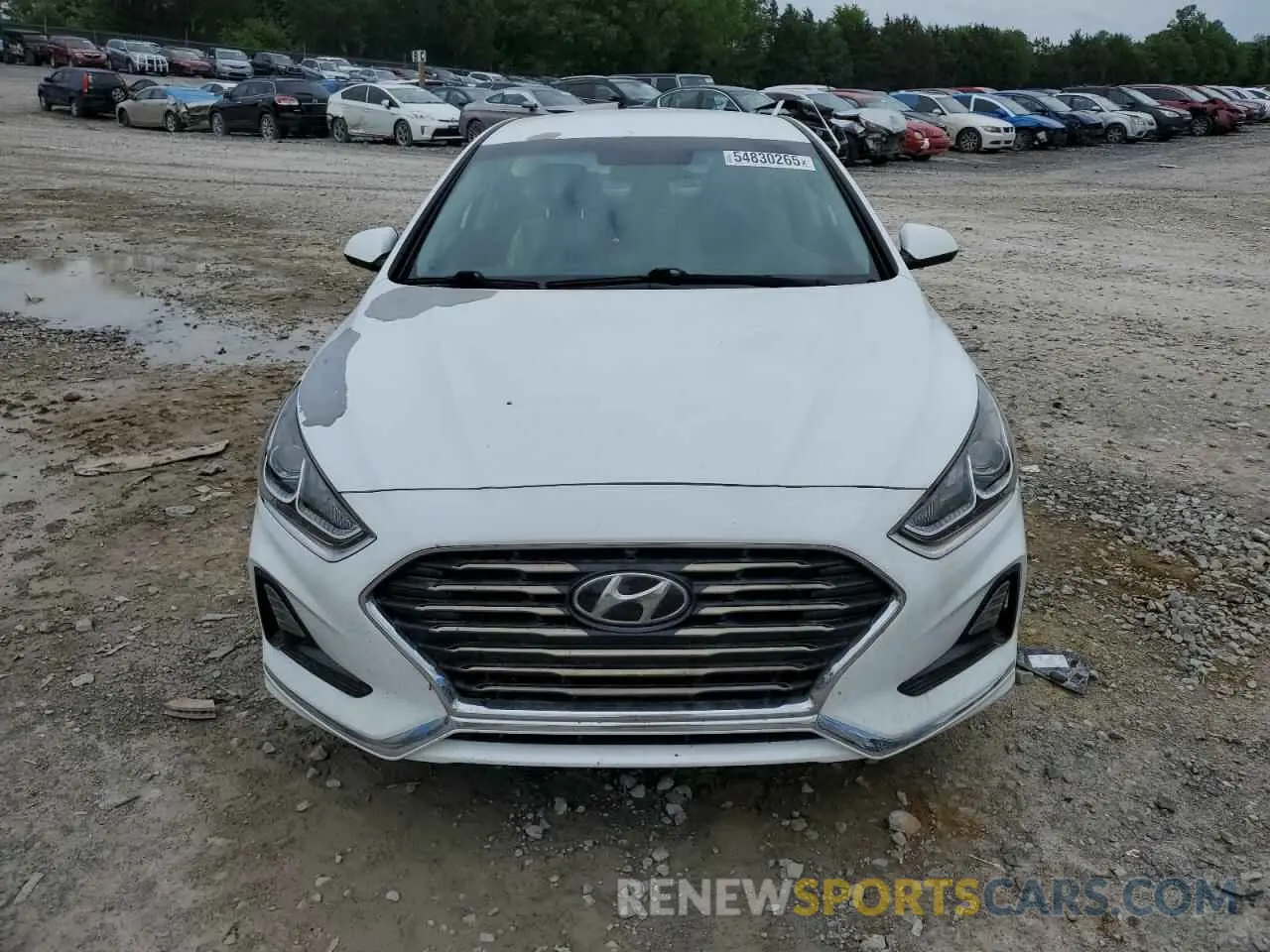 5 Photograph of a damaged car 5NPE24AF3KH812487 HYUNDAI SONATA 2019