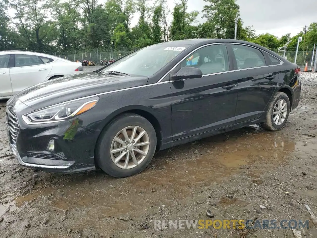 1 Photograph of a damaged car 5NPE24AF3KH817852 HYUNDAI SONATA 2019