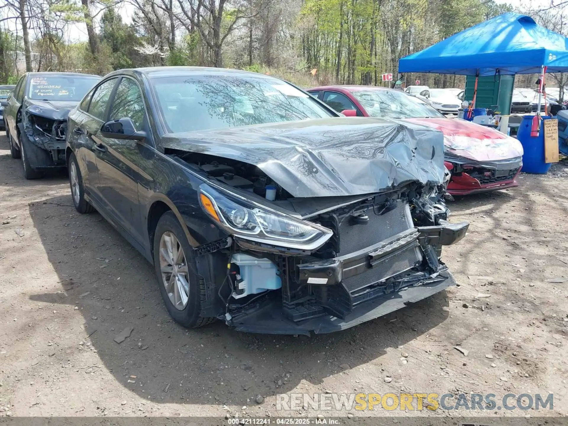 1 Photograph of a damaged car 5NPE24AF3KH819181 HYUNDAI SONATA 2019
