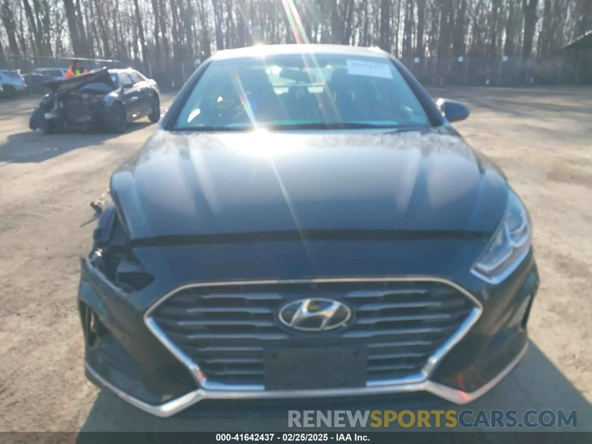 12 Photograph of a damaged car 5NPE24AF4KH741932 HYUNDAI SONATA 2019