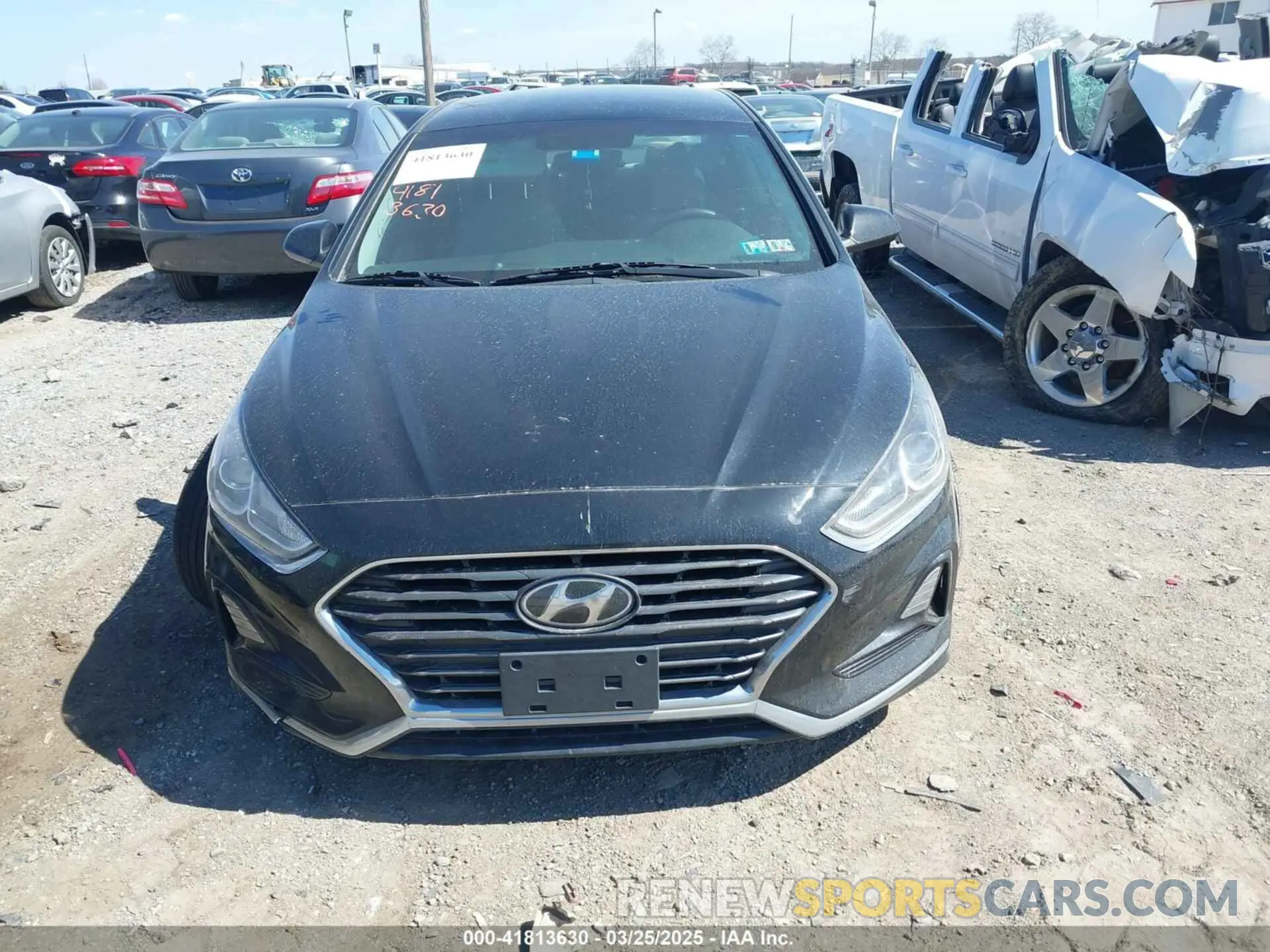 12 Photograph of a damaged car 5NPE24AF4KH743471 HYUNDAI SONATA 2019