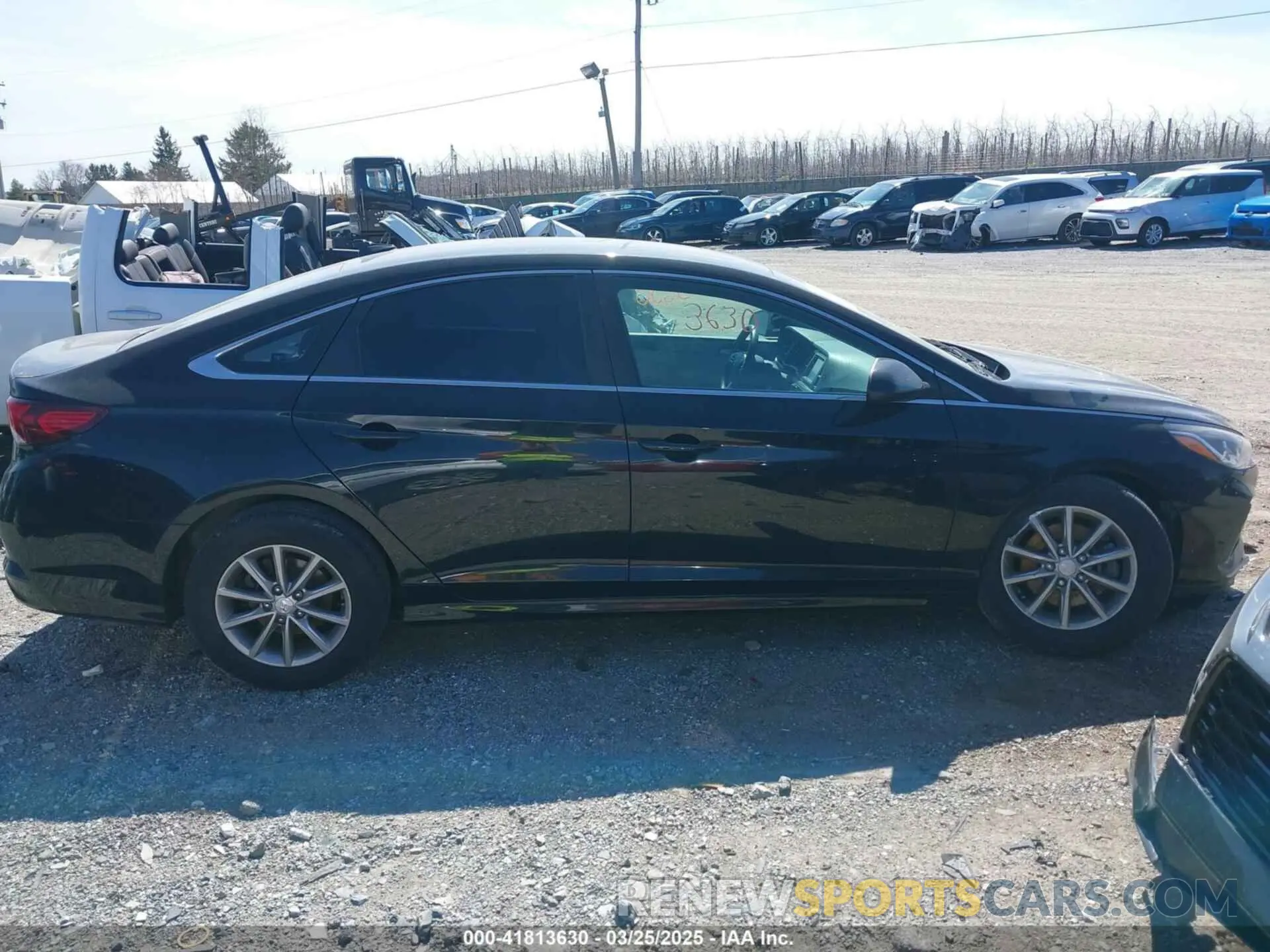13 Photograph of a damaged car 5NPE24AF4KH743471 HYUNDAI SONATA 2019