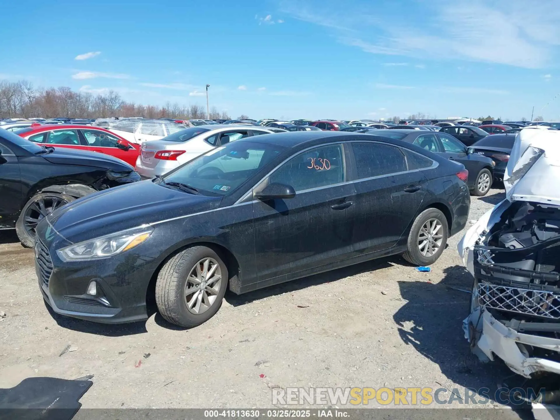 14 Photograph of a damaged car 5NPE24AF4KH743471 HYUNDAI SONATA 2019