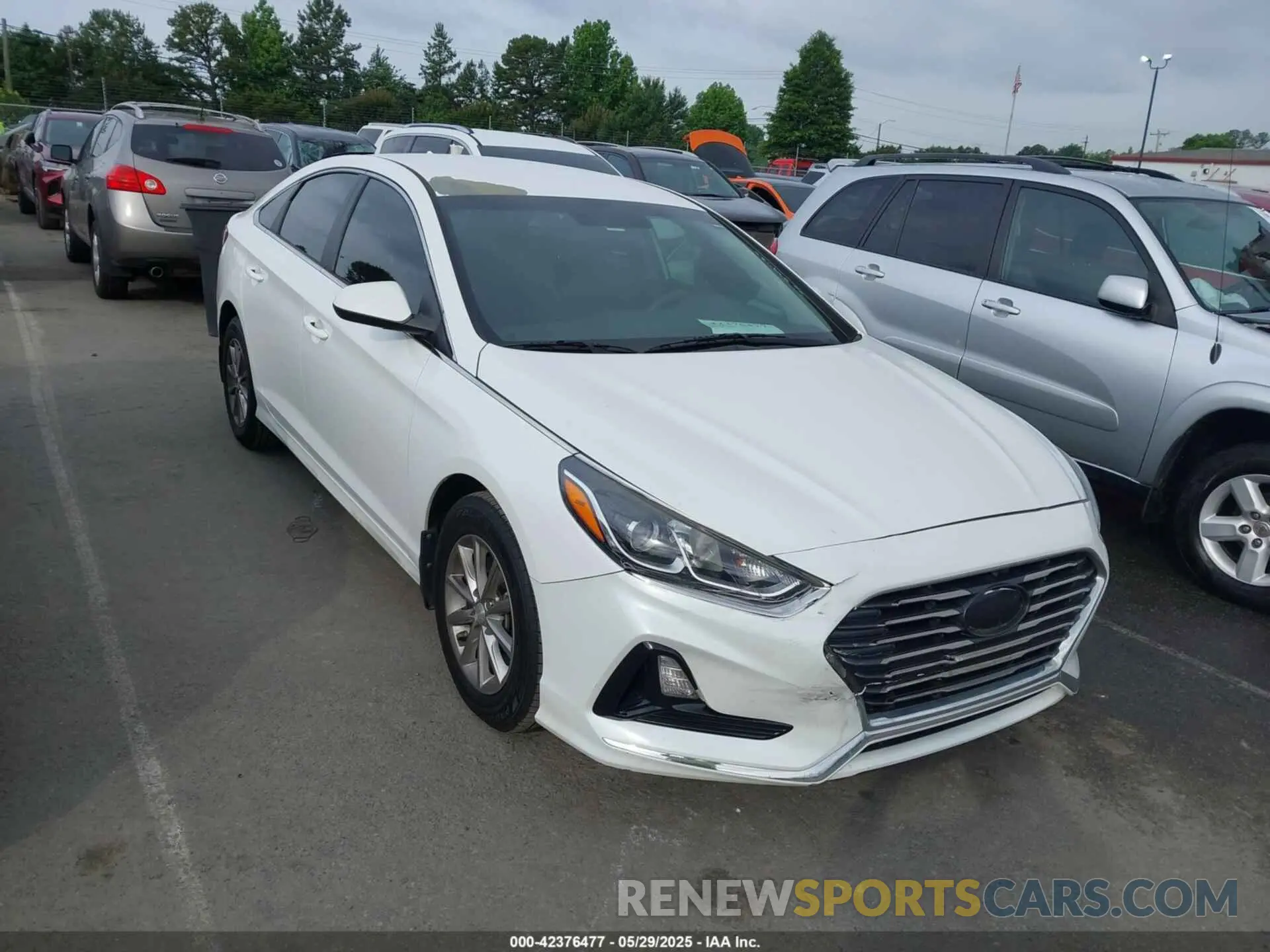 1 Photograph of a damaged car 5NPE24AF4KH745074 HYUNDAI SONATA 2019