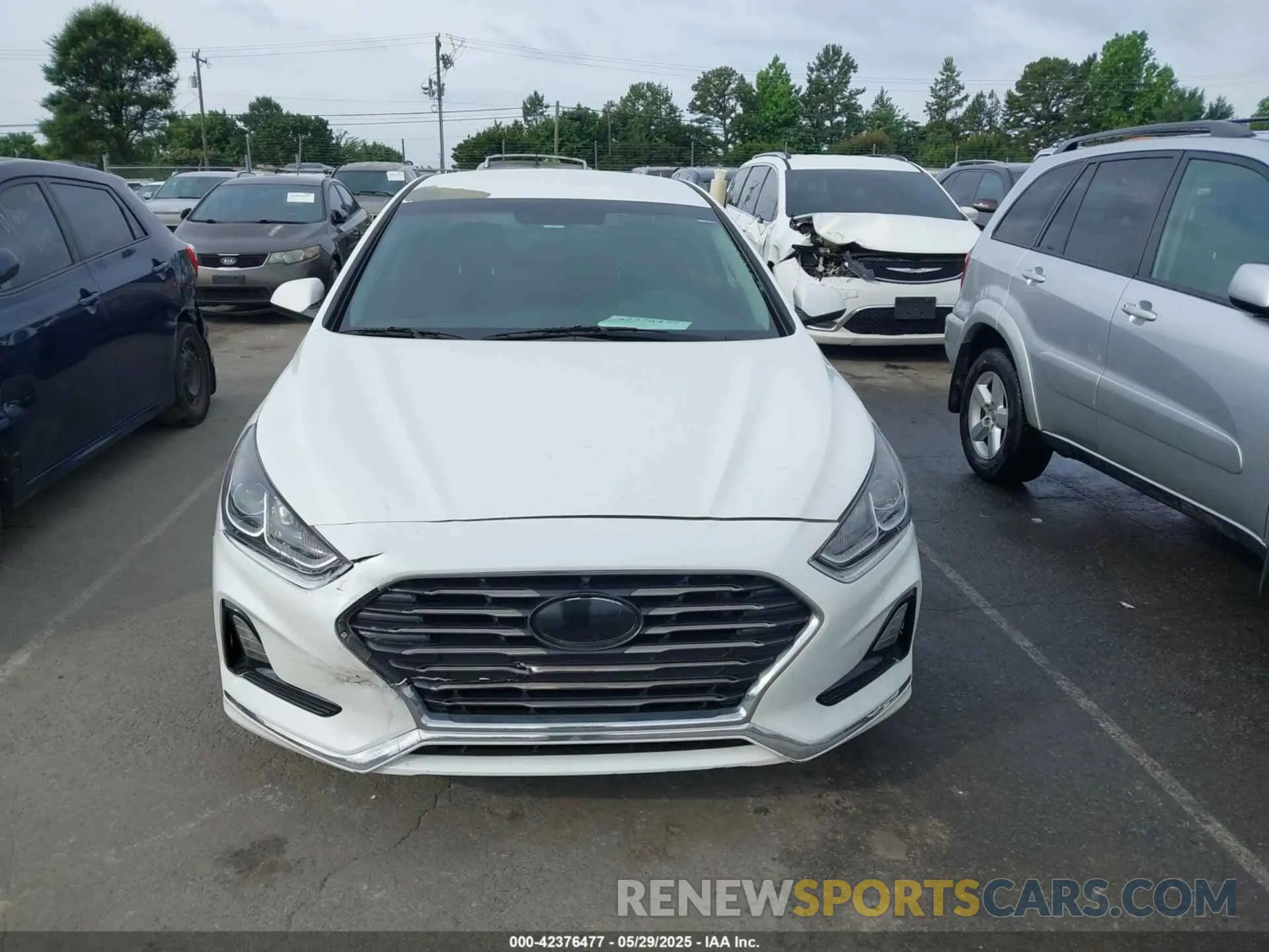 12 Photograph of a damaged car 5NPE24AF4KH745074 HYUNDAI SONATA 2019