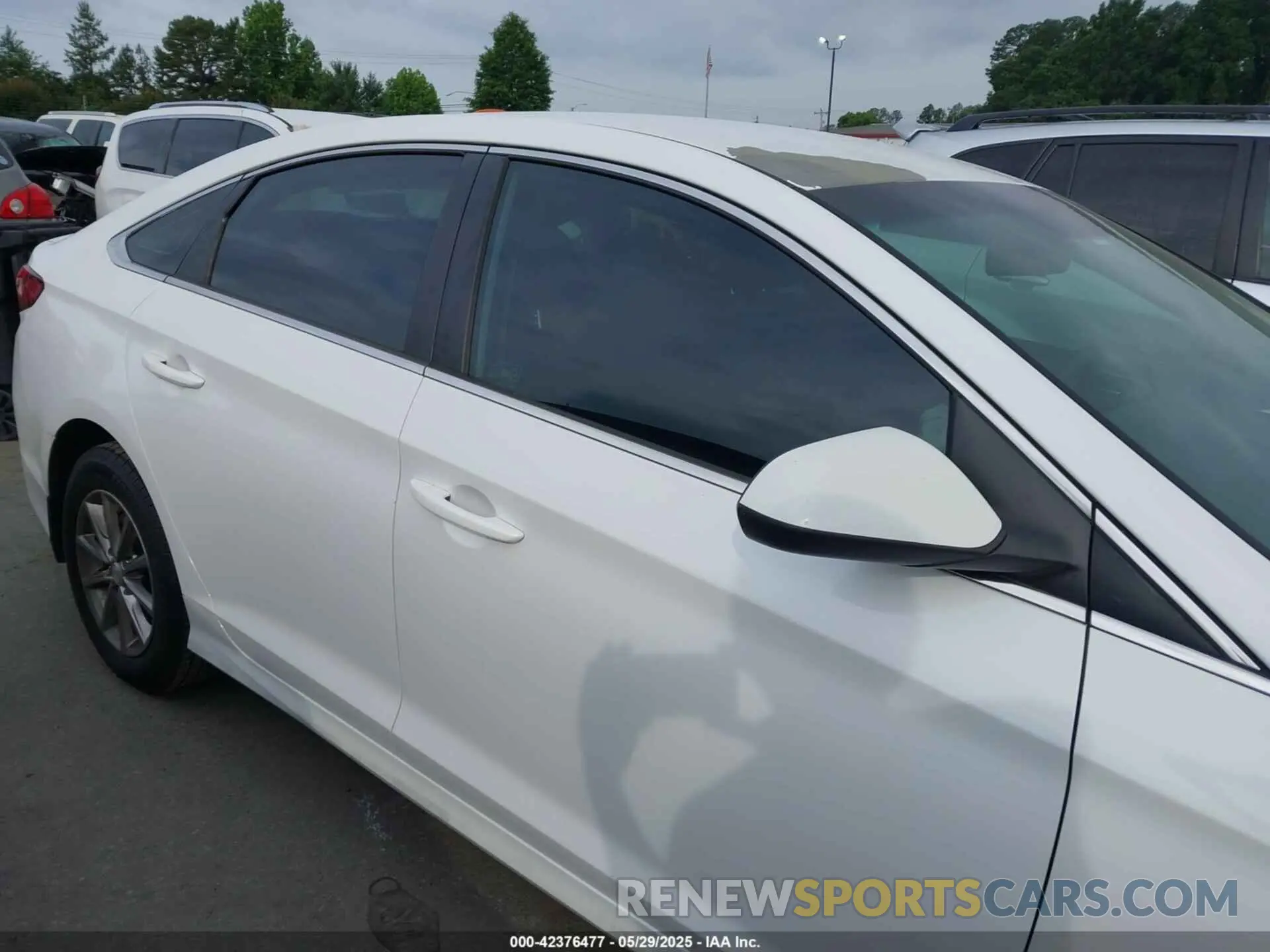 13 Photograph of a damaged car 5NPE24AF4KH745074 HYUNDAI SONATA 2019
