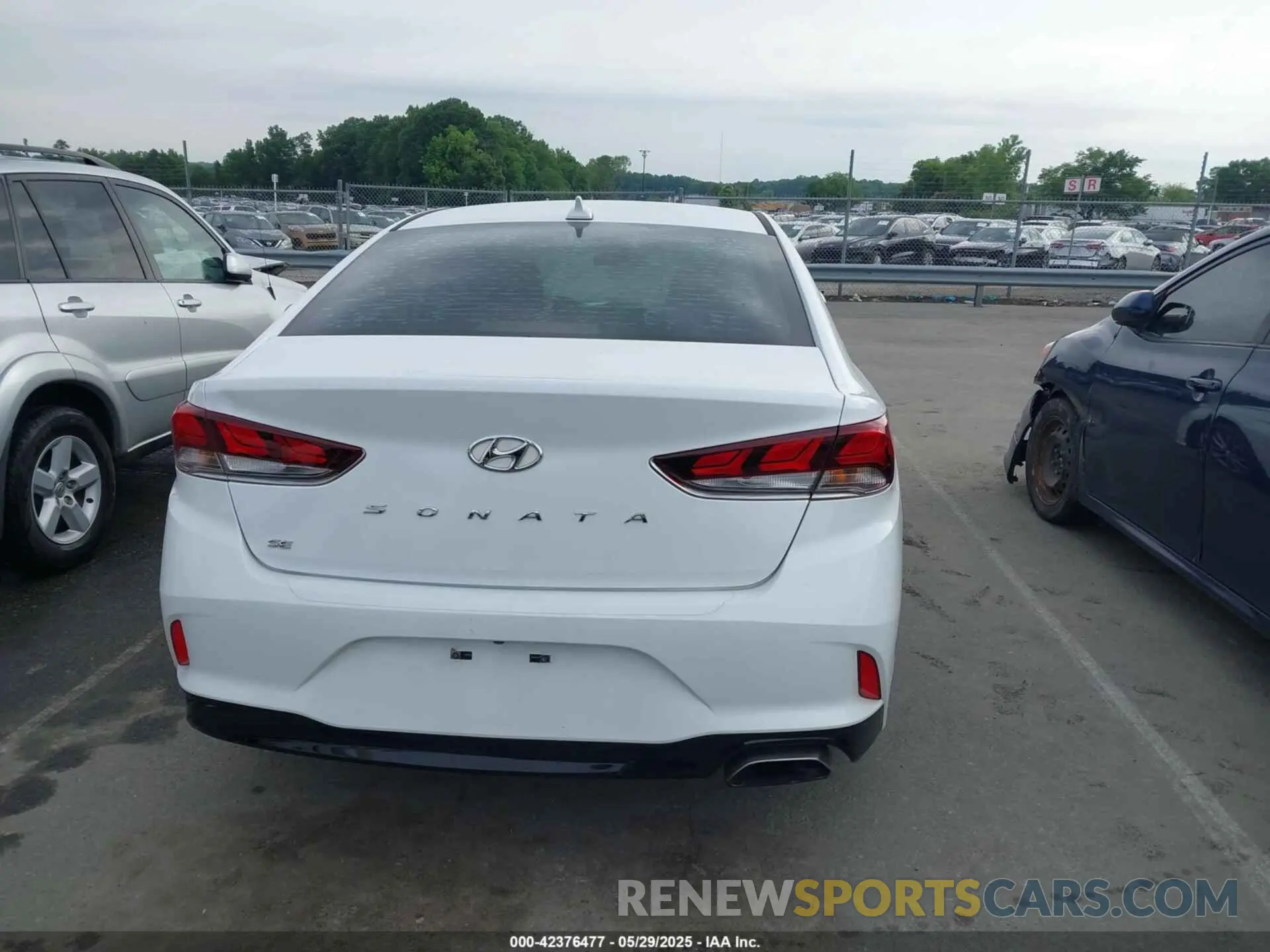 16 Photograph of a damaged car 5NPE24AF4KH745074 HYUNDAI SONATA 2019