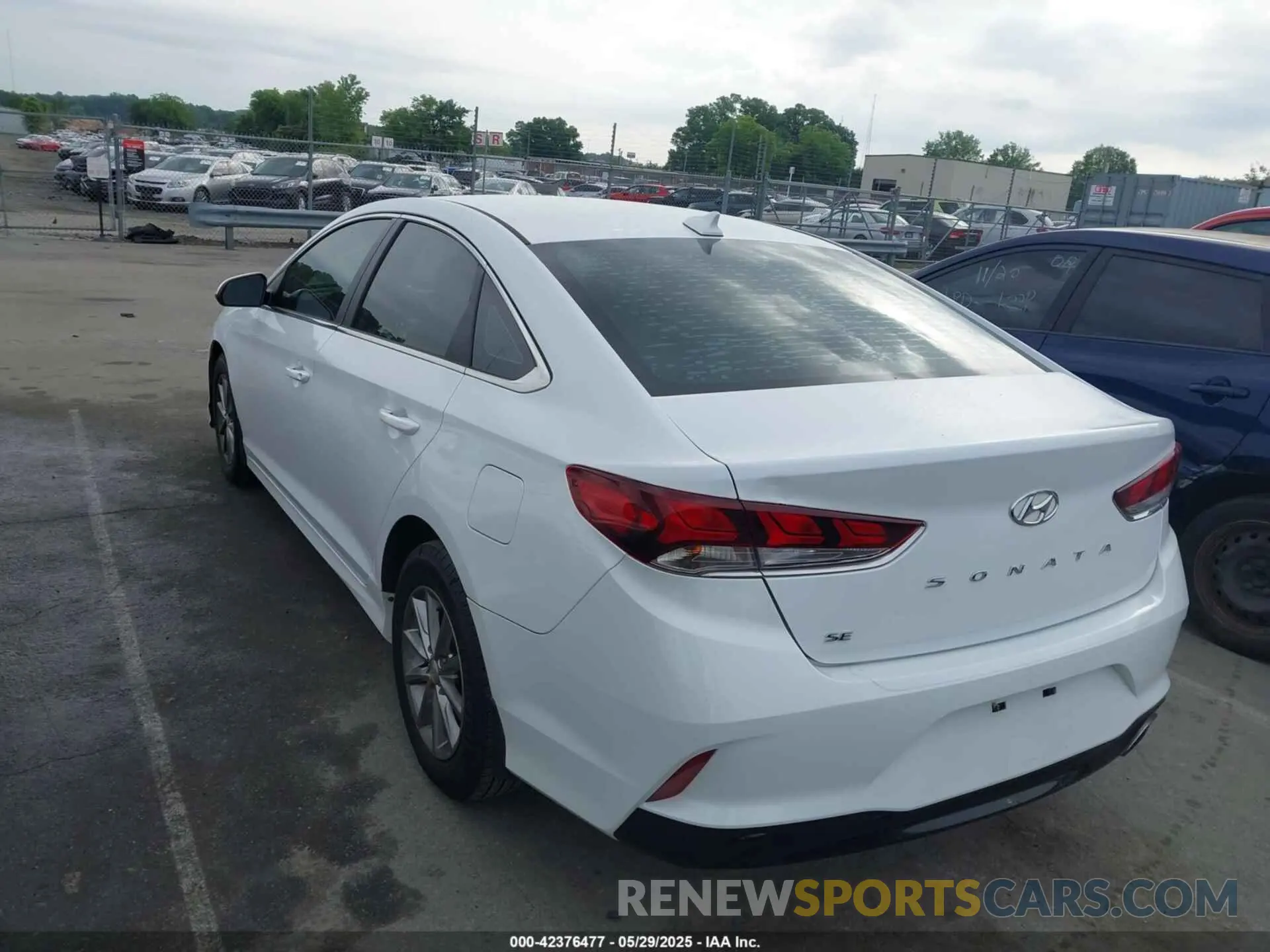 3 Photograph of a damaged car 5NPE24AF4KH745074 HYUNDAI SONATA 2019