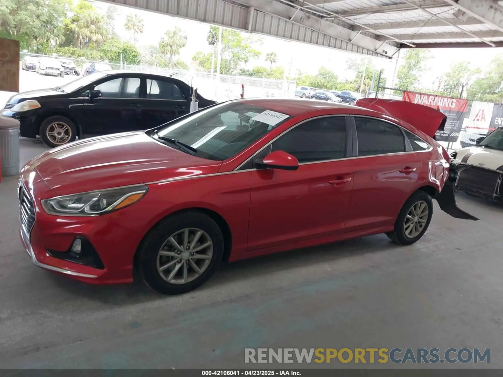 14 Photograph of a damaged car 5NPE24AF4KH745205 HYUNDAI SONATA 2019