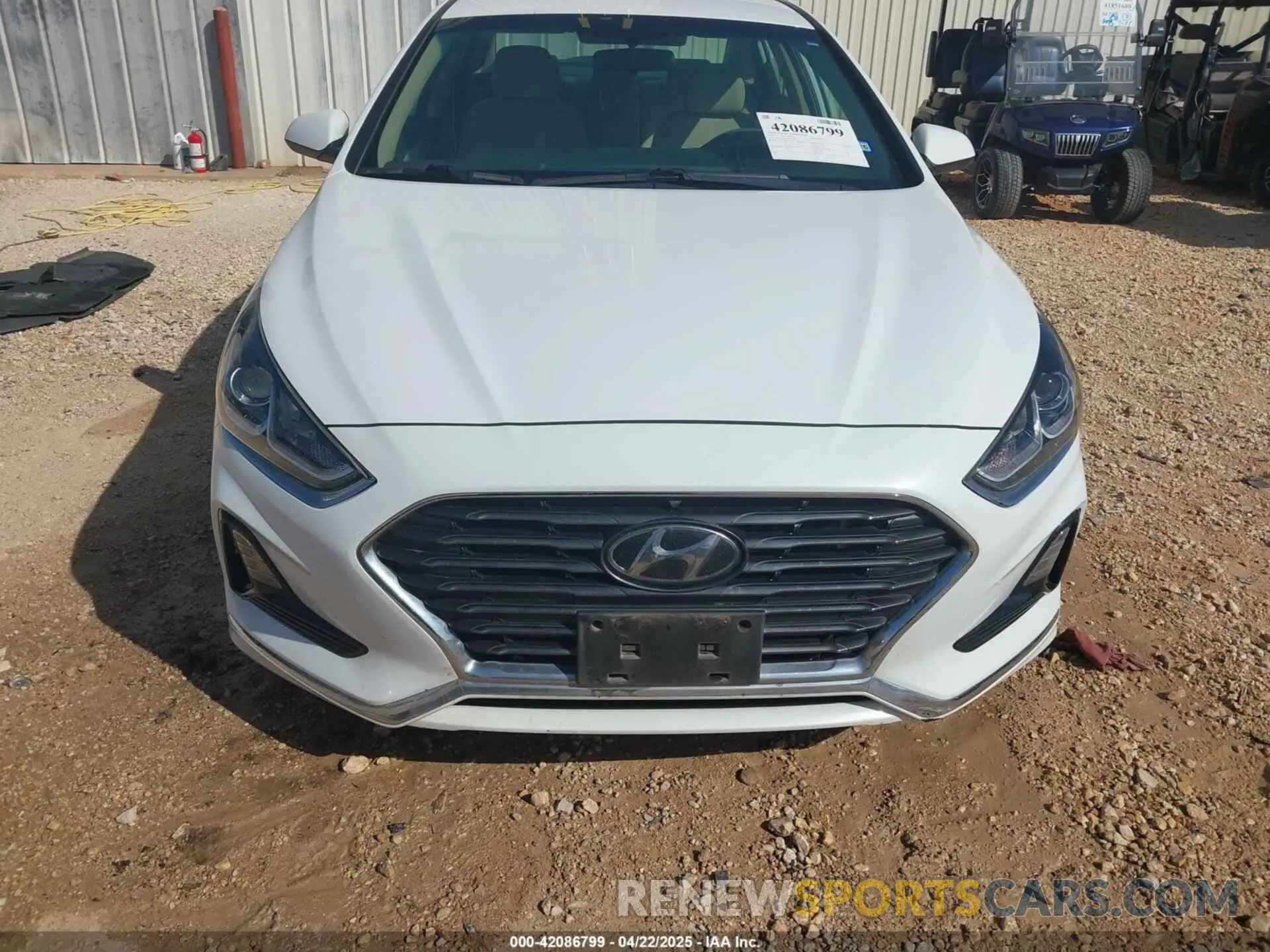 6 Photograph of a damaged car 5NPE24AF4KH749965 HYUNDAI SONATA 2019