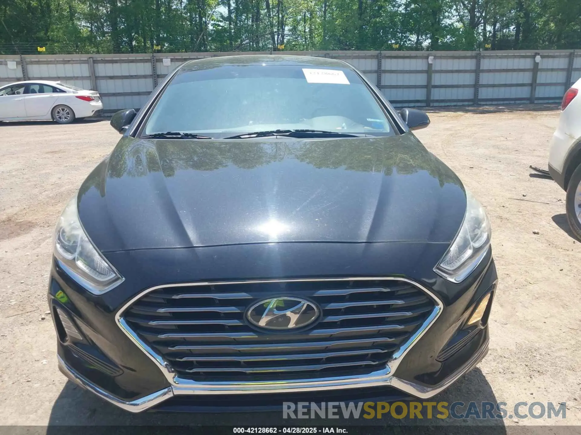 12 Photograph of a damaged car 5NPE24AF4KH754311 HYUNDAI SONATA 2019