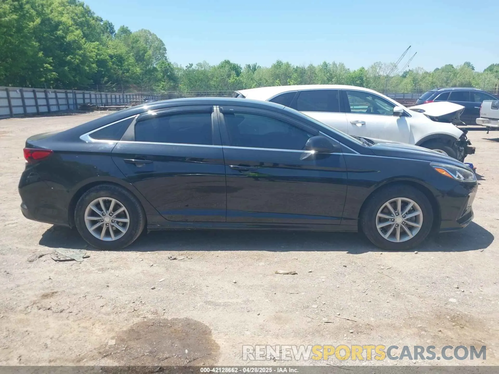 13 Photograph of a damaged car 5NPE24AF4KH754311 HYUNDAI SONATA 2019