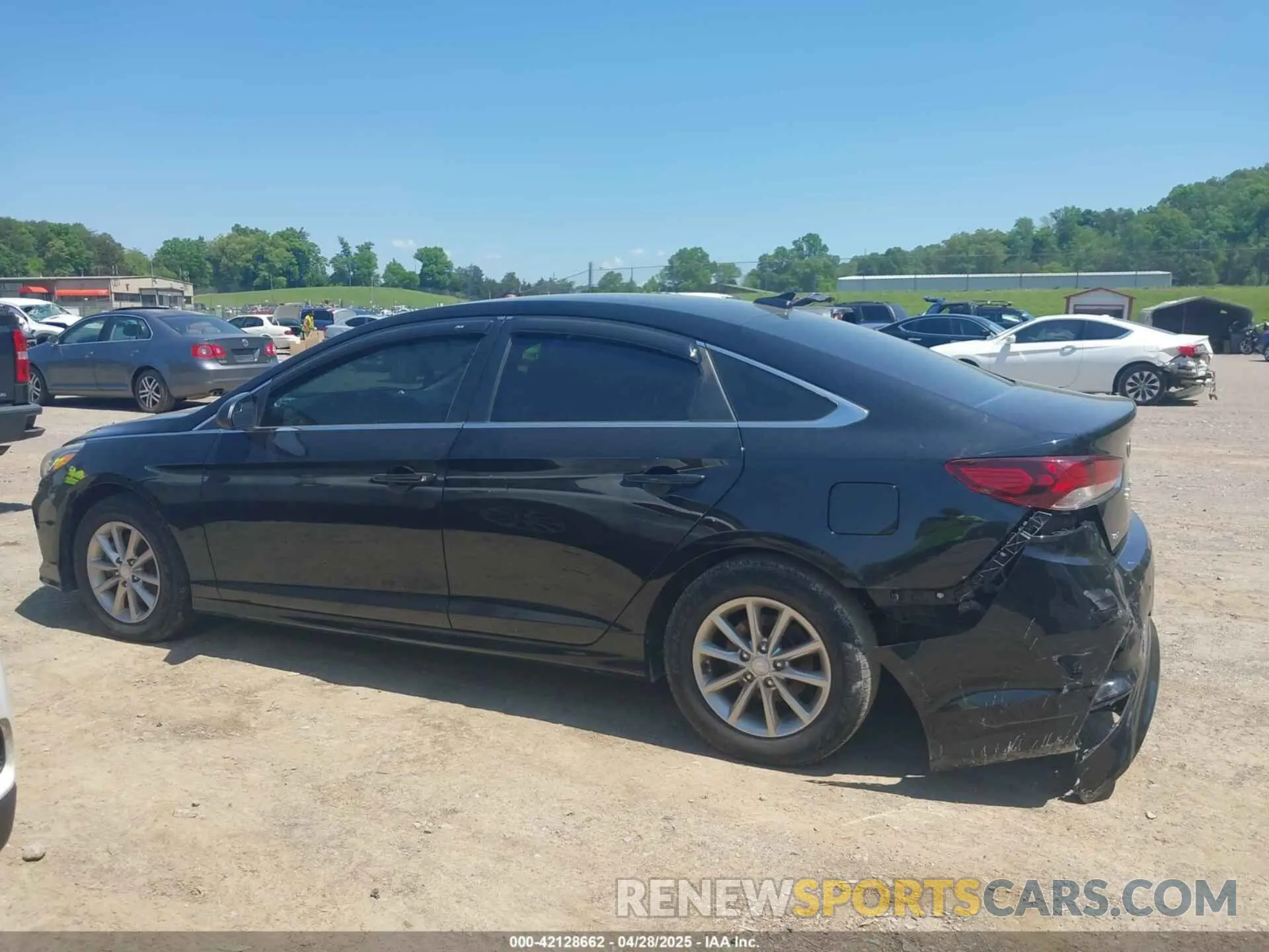 14 Photograph of a damaged car 5NPE24AF4KH754311 HYUNDAI SONATA 2019