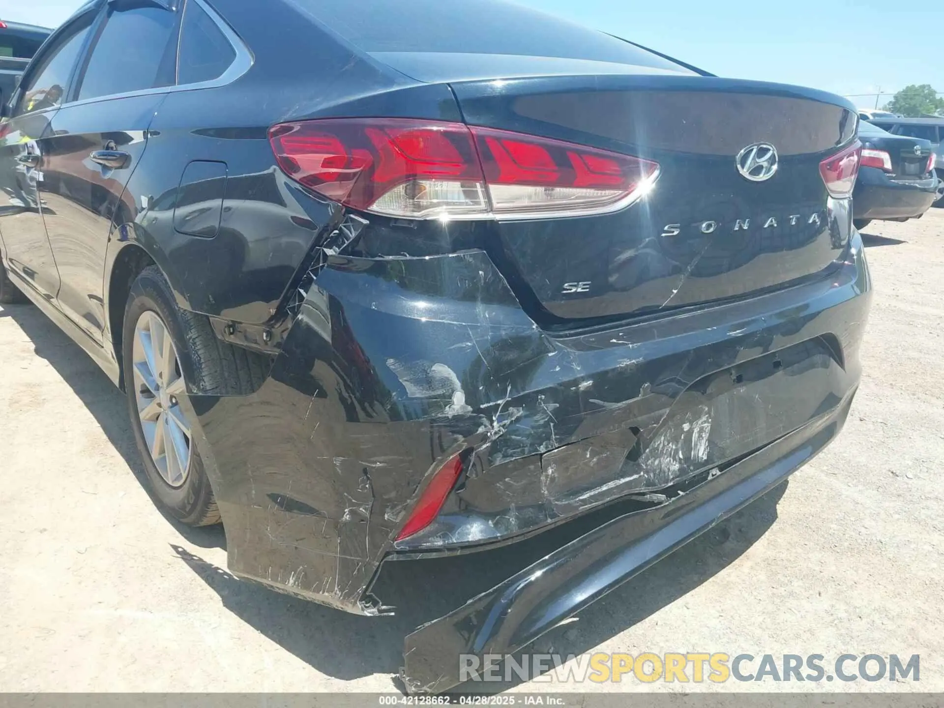 6 Photograph of a damaged car 5NPE24AF4KH754311 HYUNDAI SONATA 2019