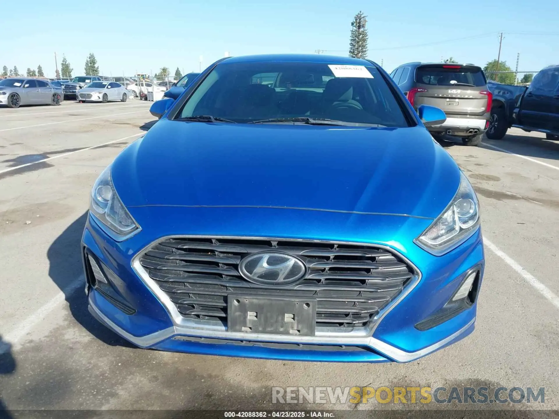 12 Photograph of a damaged car 5NPE24AF4KH760853 HYUNDAI SONATA 2019