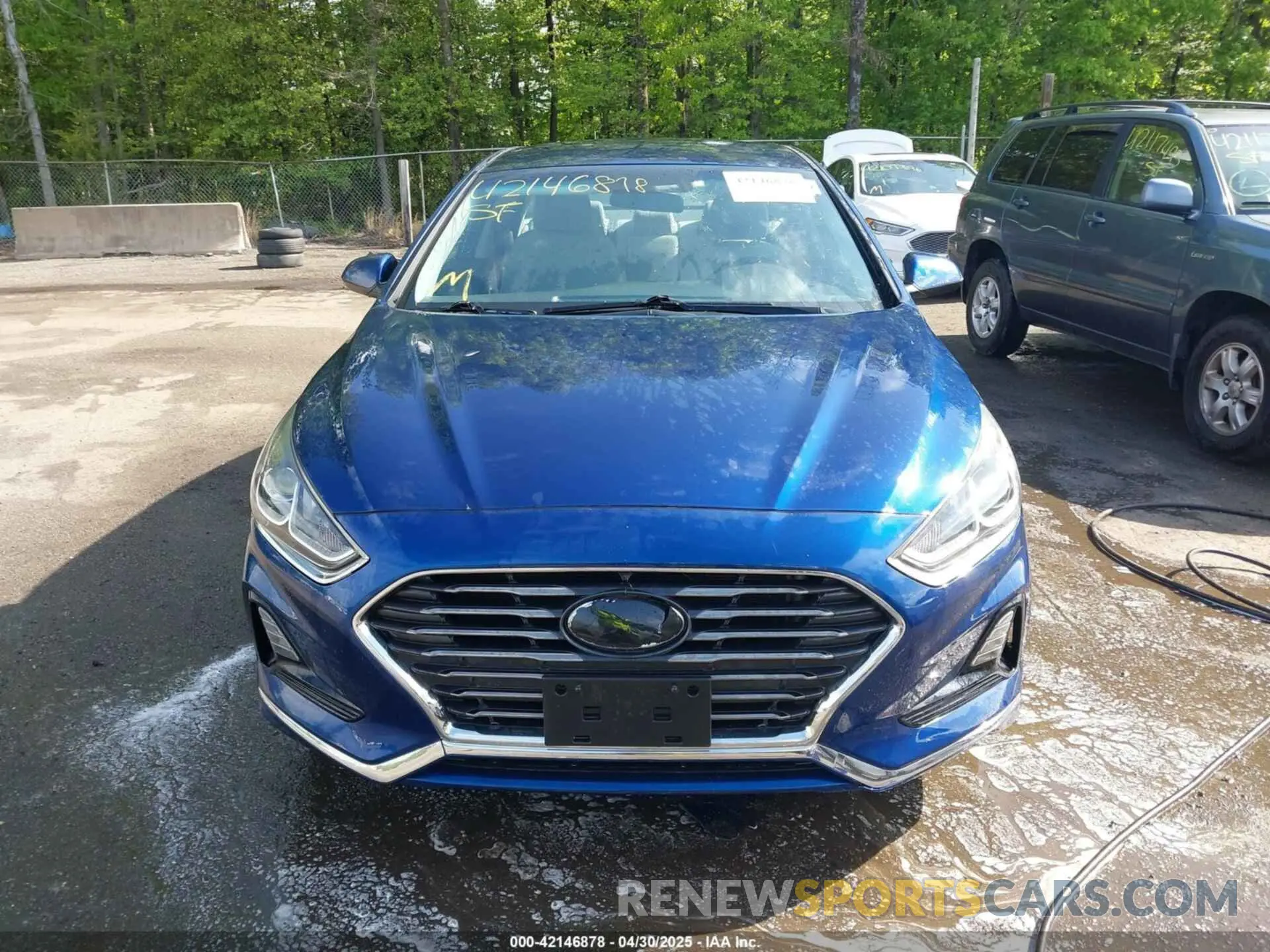 12 Photograph of a damaged car 5NPE24AF4KH780973 HYUNDAI SONATA 2019