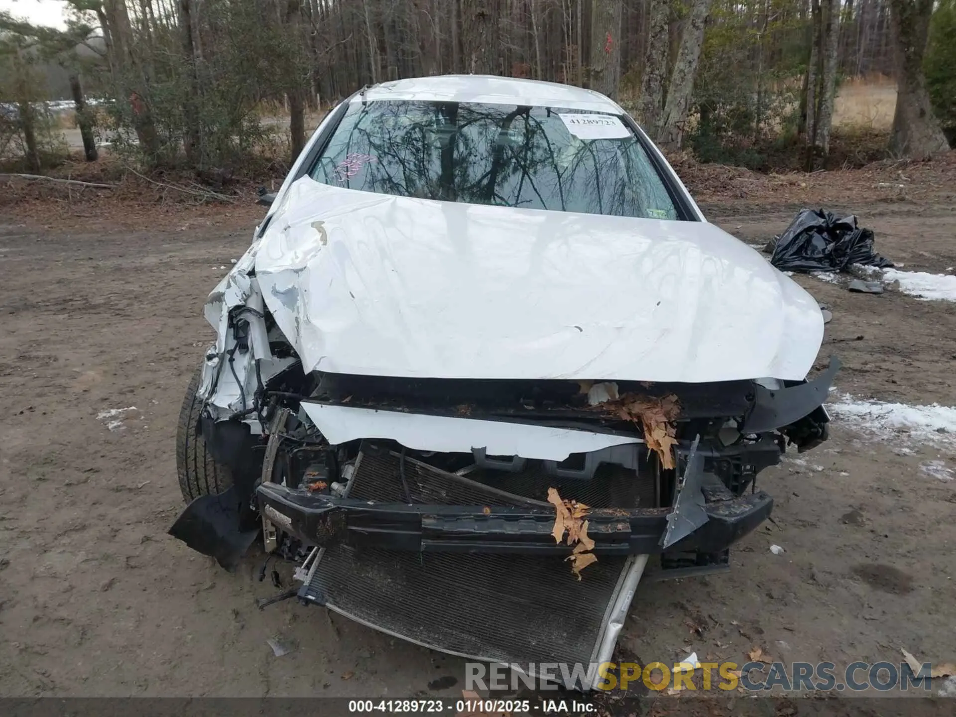 11 Photograph of a damaged car 5NPE24AF4KH781489 HYUNDAI SONATA 2019