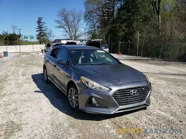 13 Photograph of a damaged car 5NPE24AF4KH808609 HYUNDAI SONATA 2019