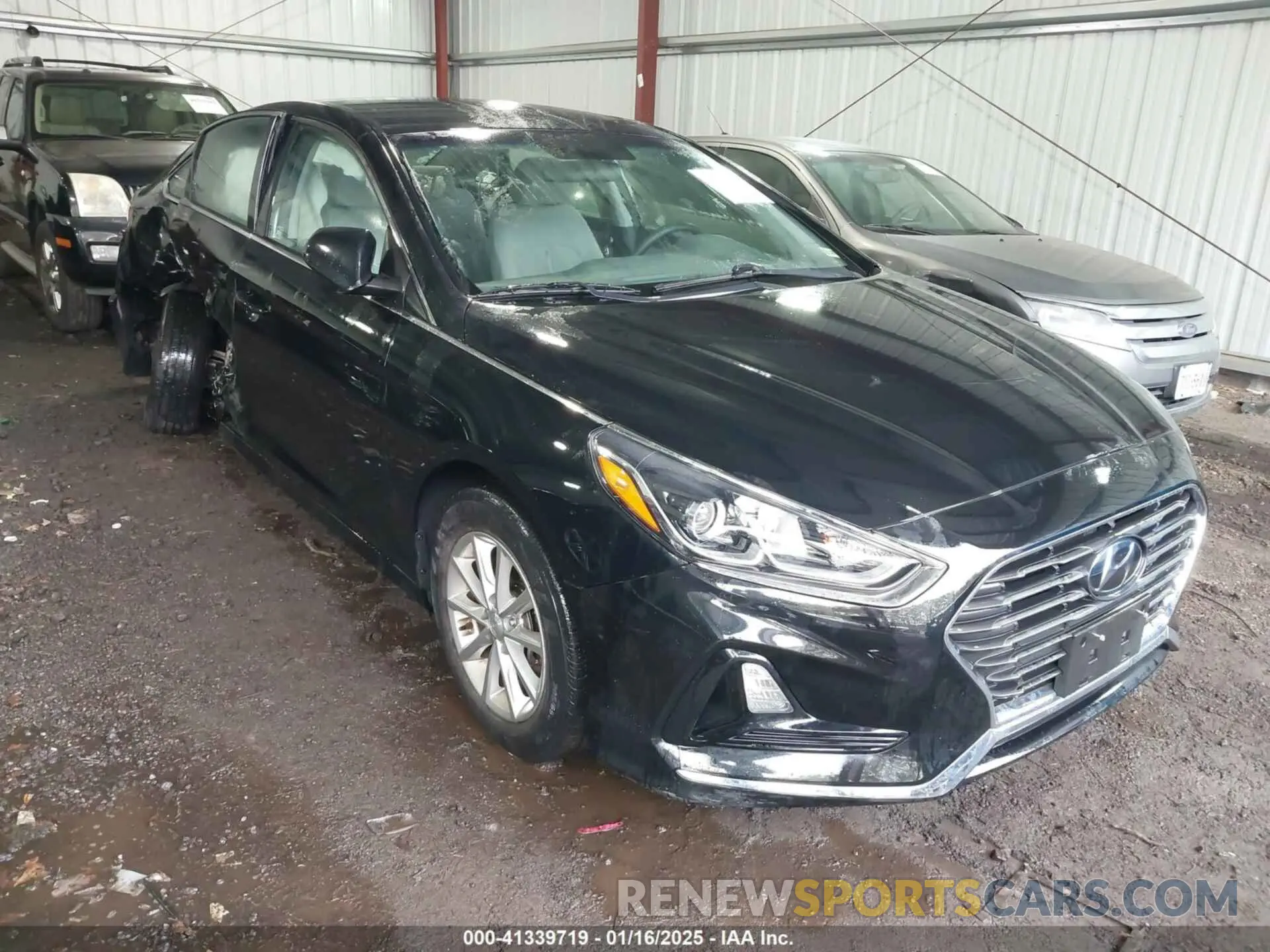 1 Photograph of a damaged car 5NPE24AF4KH818380 HYUNDAI SONATA 2019