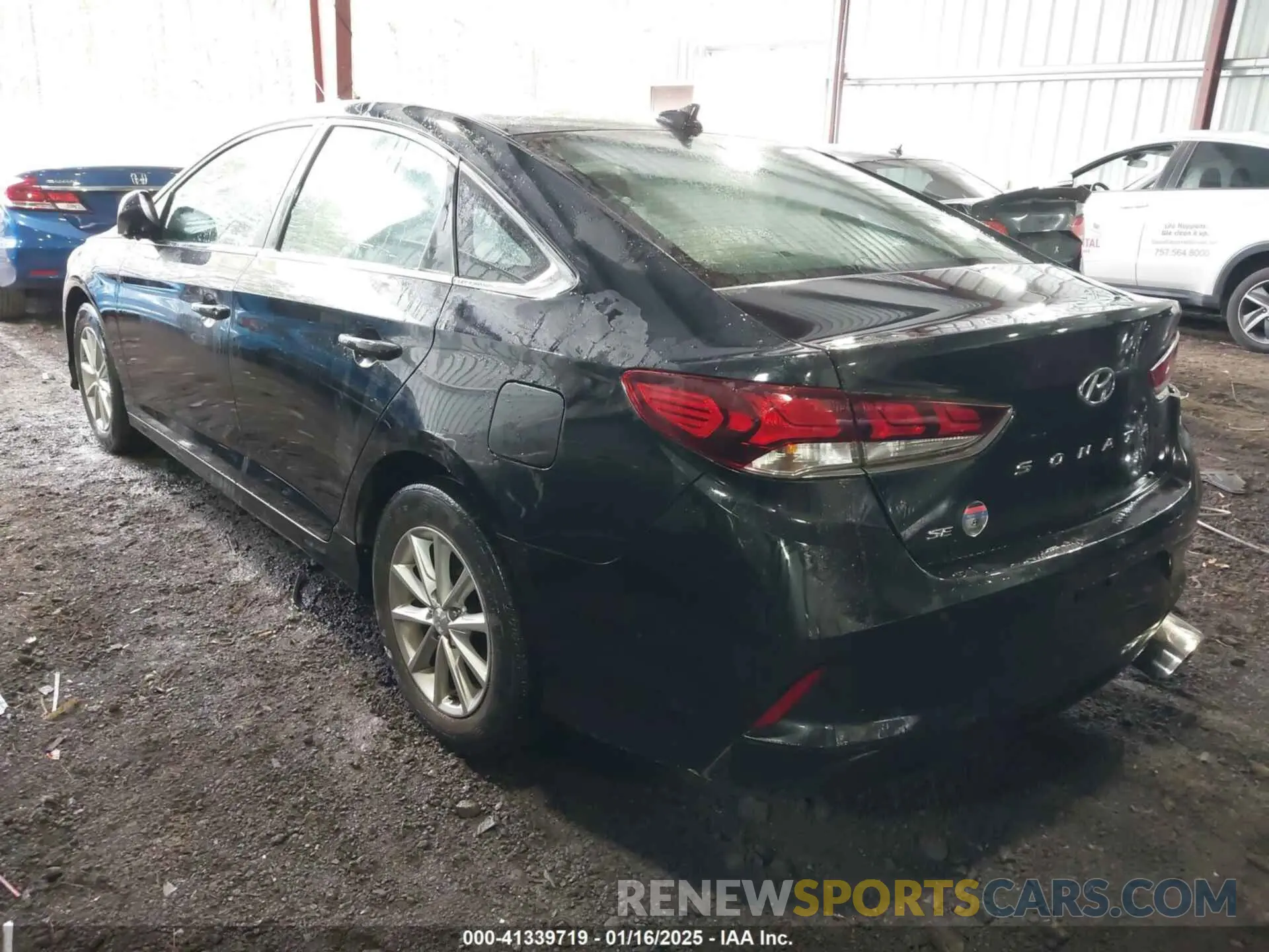 3 Photograph of a damaged car 5NPE24AF4KH818380 HYUNDAI SONATA 2019