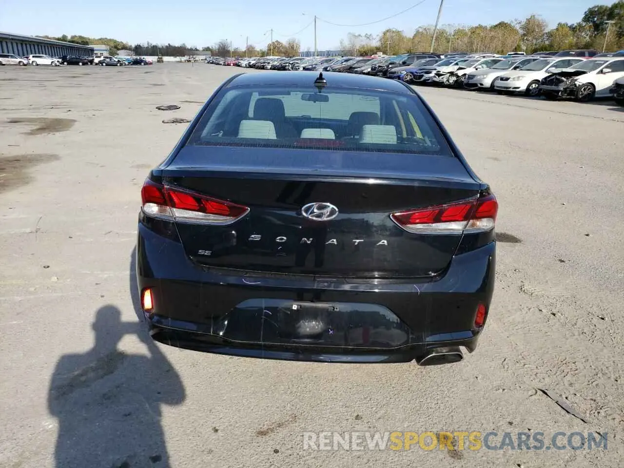 6 Photograph of a damaged car 5NPE24AF4KH819500 HYUNDAI SONATA 2019