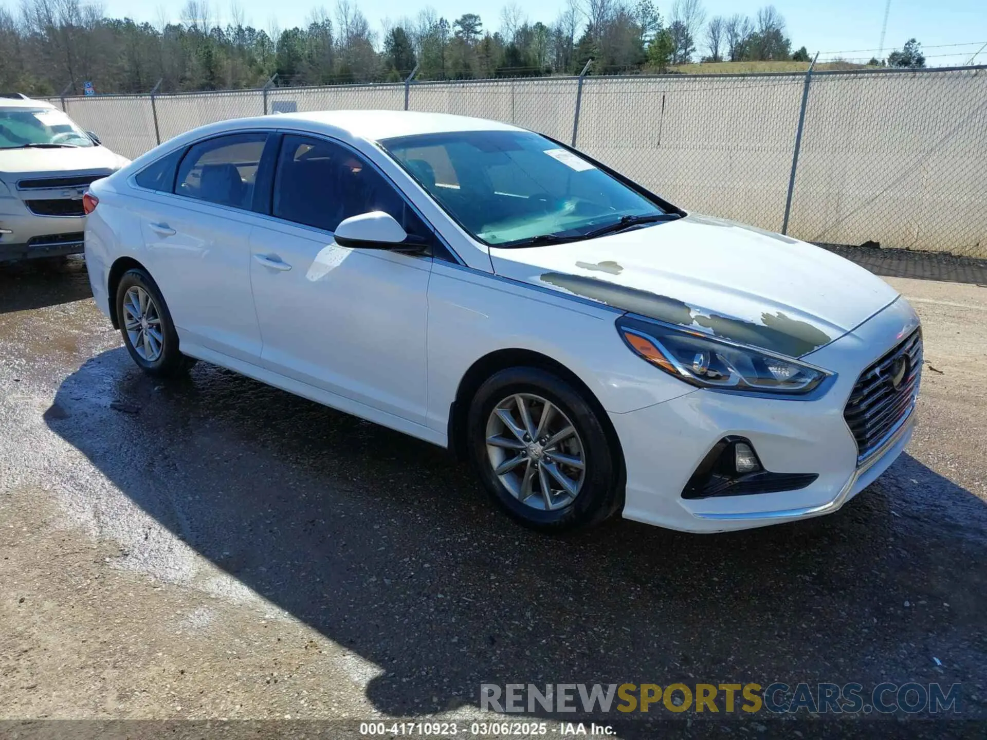1 Photograph of a damaged car 5NPE24AF5KH738070 HYUNDAI SONATA 2019