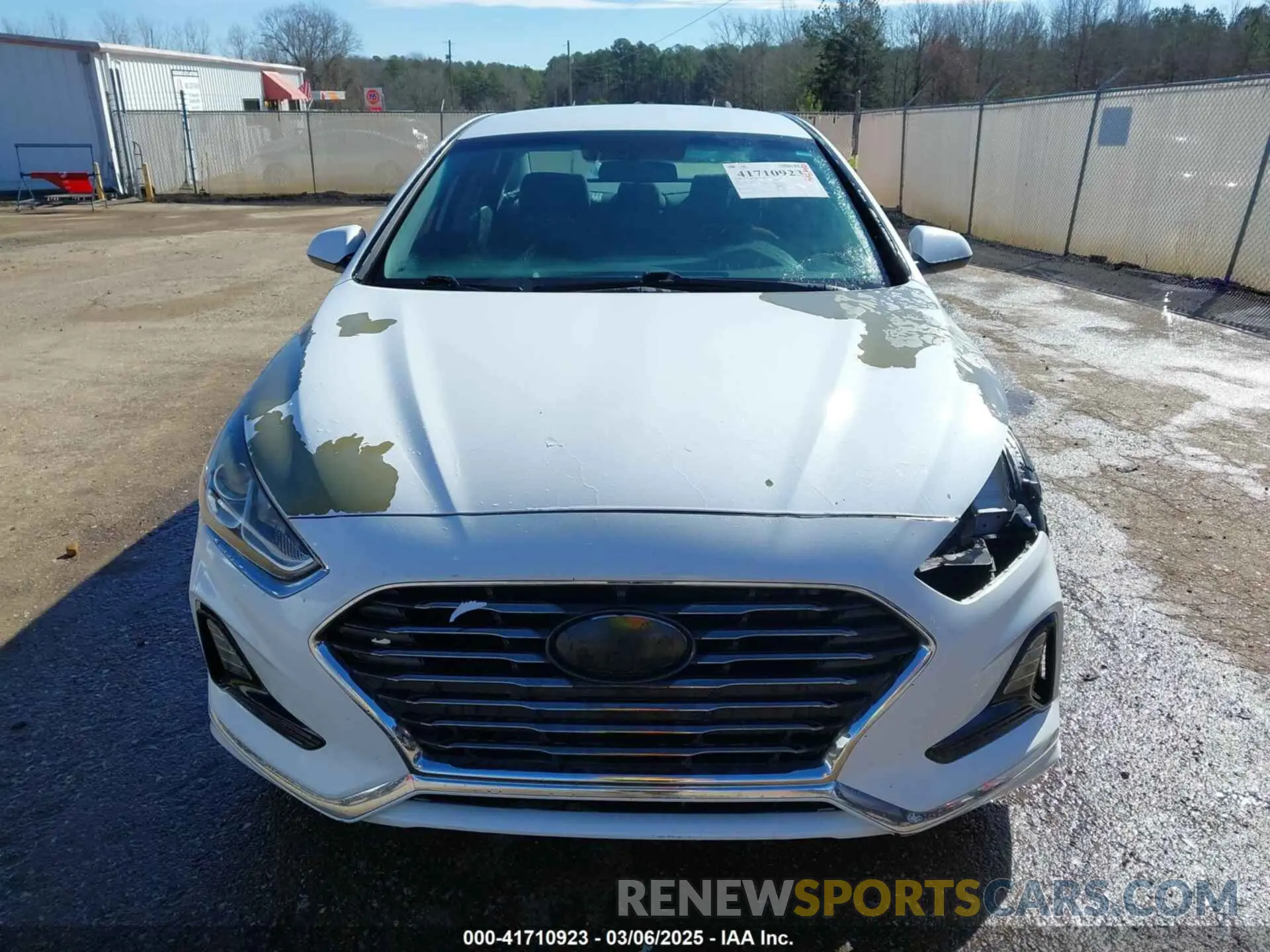 13 Photograph of a damaged car 5NPE24AF5KH738070 HYUNDAI SONATA 2019