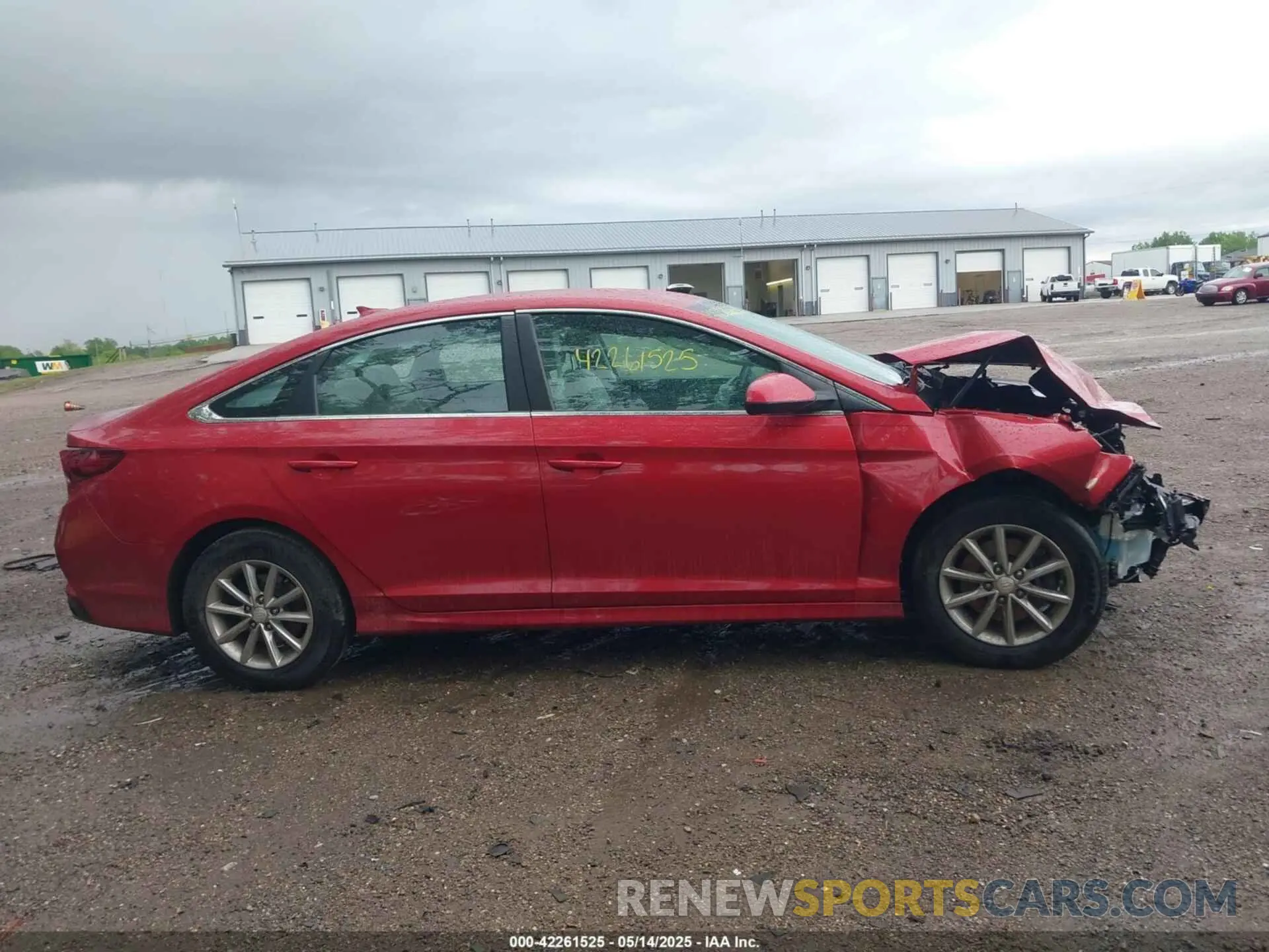 13 Photograph of a damaged car 5NPE24AF5KH752177 HYUNDAI SONATA 2019