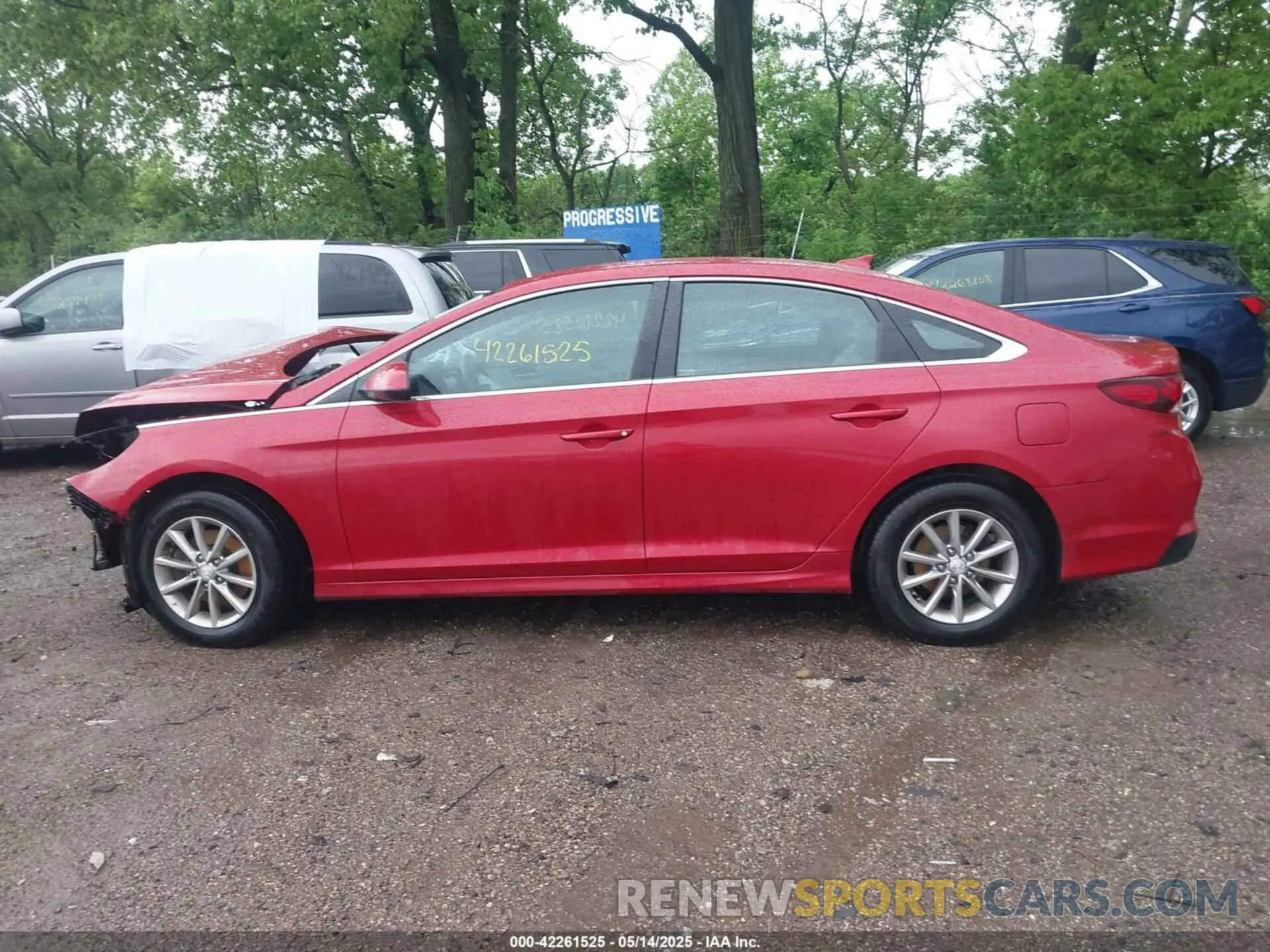 14 Photograph of a damaged car 5NPE24AF5KH752177 HYUNDAI SONATA 2019