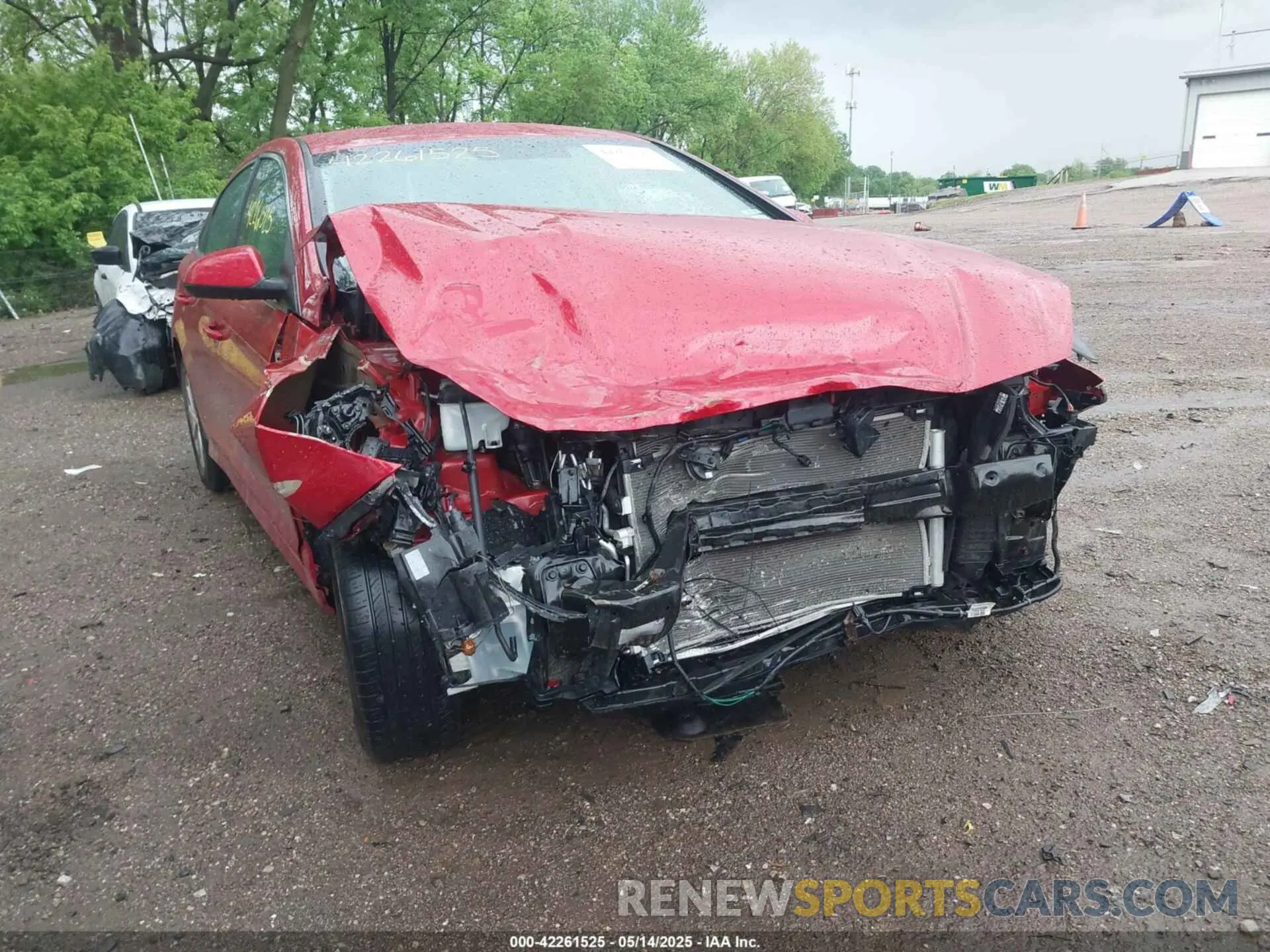 6 Photograph of a damaged car 5NPE24AF5KH752177 HYUNDAI SONATA 2019
