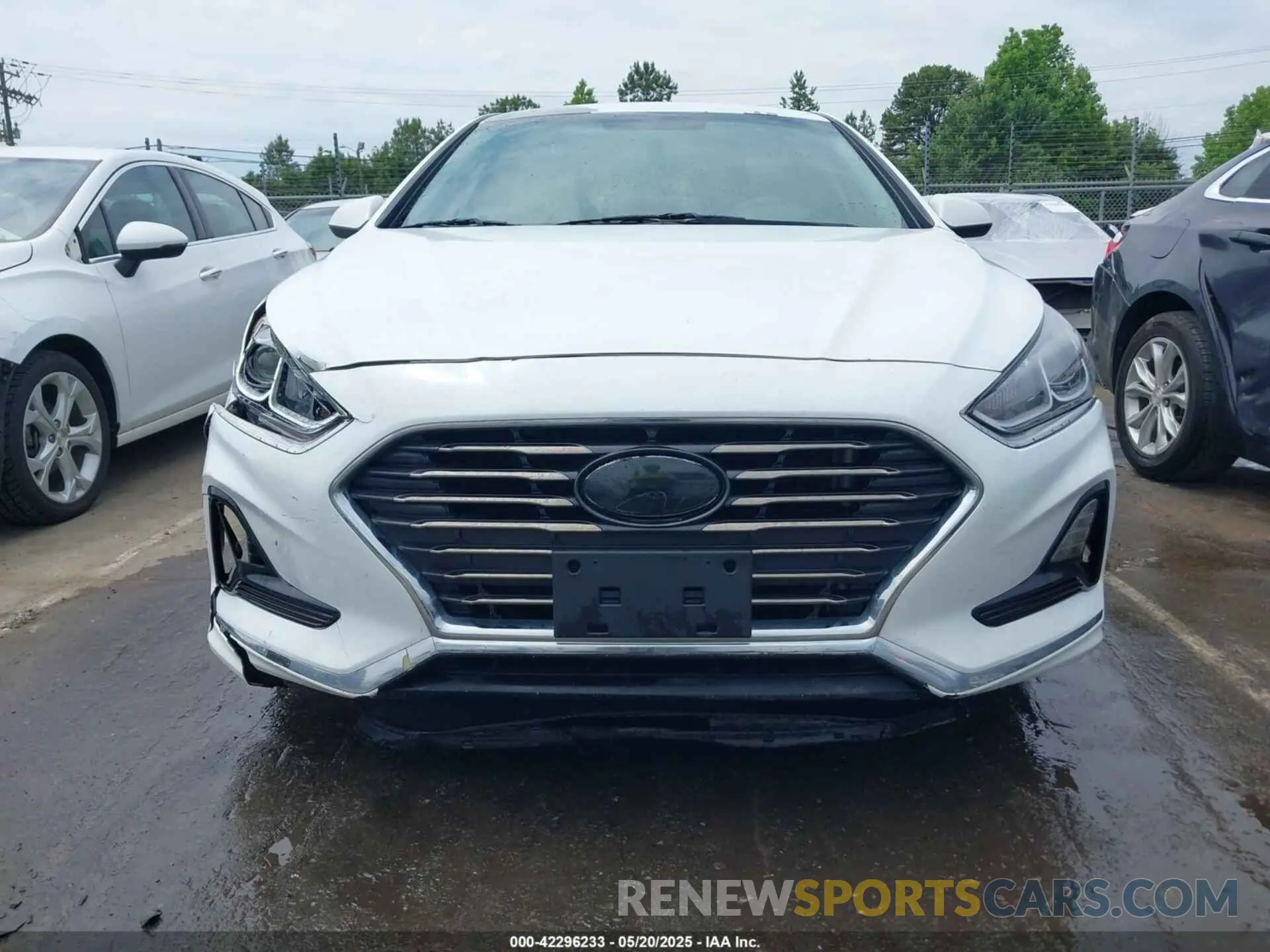 12 Photograph of a damaged car 5NPE24AF5KH774745 HYUNDAI SONATA 2019