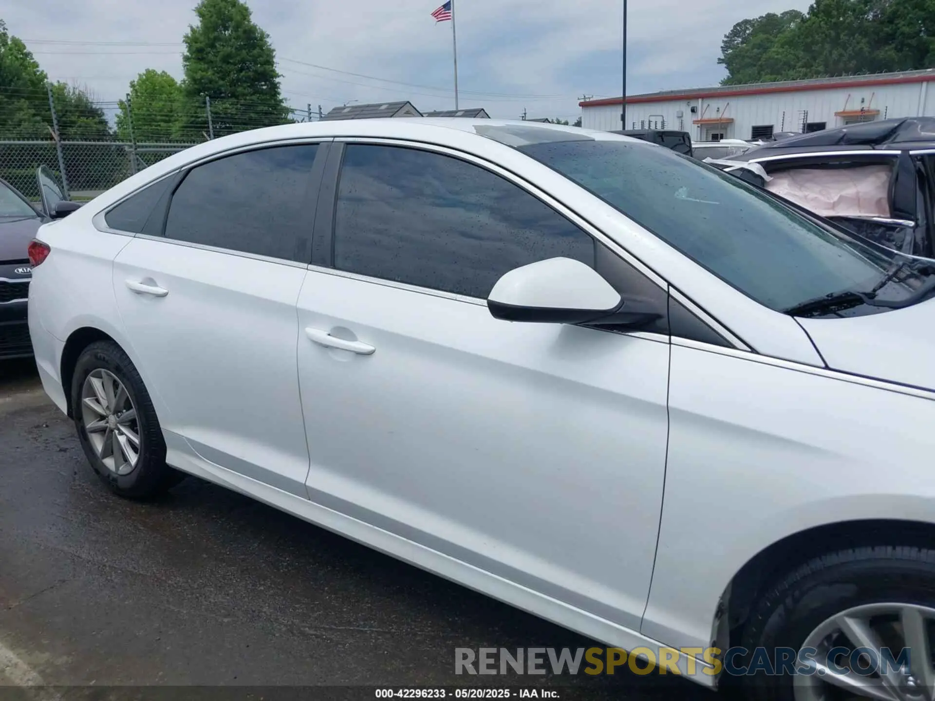 13 Photograph of a damaged car 5NPE24AF5KH774745 HYUNDAI SONATA 2019