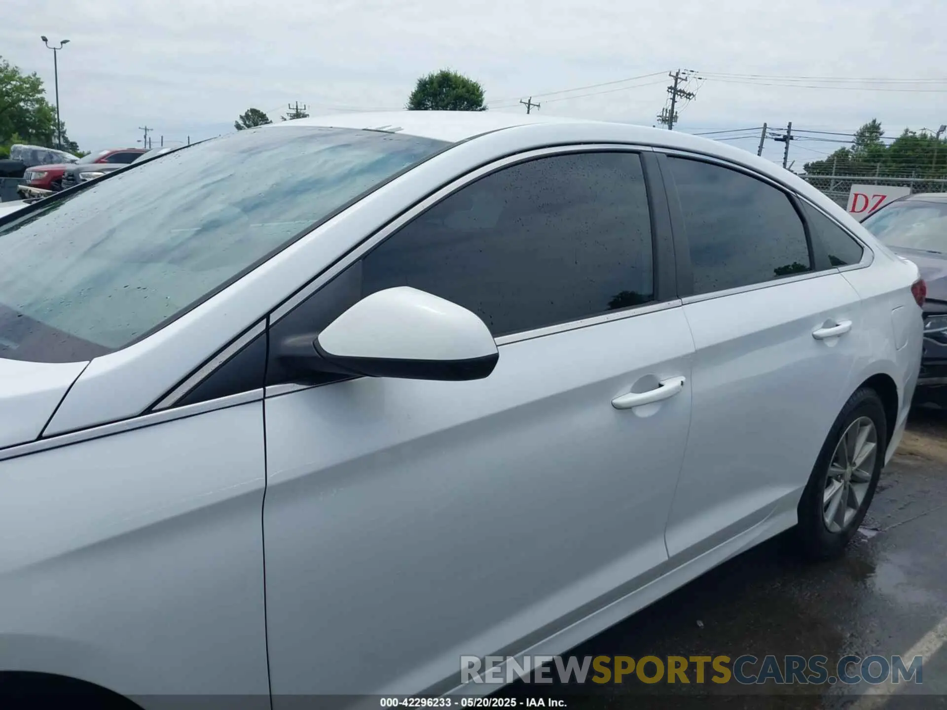 14 Photograph of a damaged car 5NPE24AF5KH774745 HYUNDAI SONATA 2019