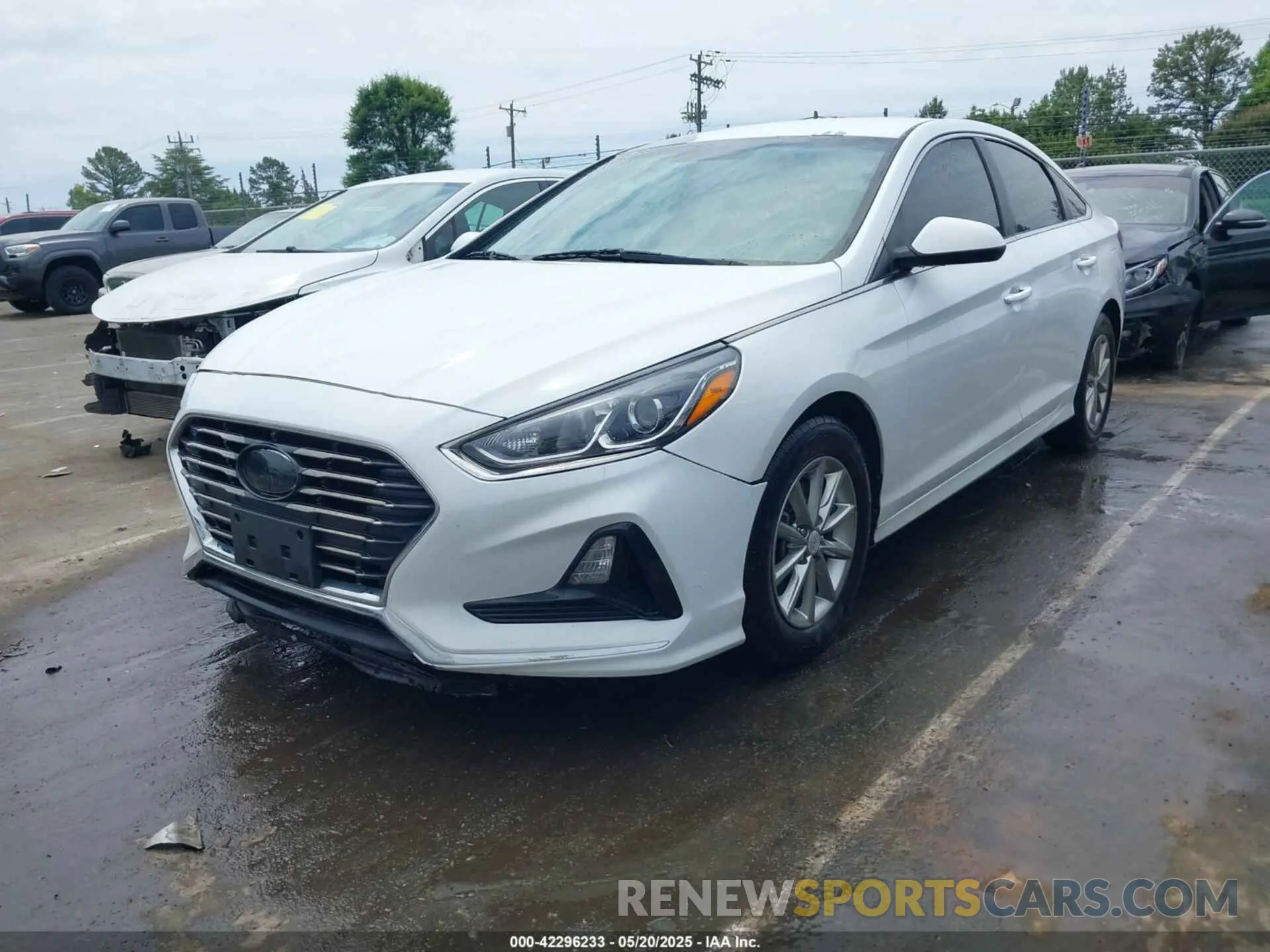 2 Photograph of a damaged car 5NPE24AF5KH774745 HYUNDAI SONATA 2019