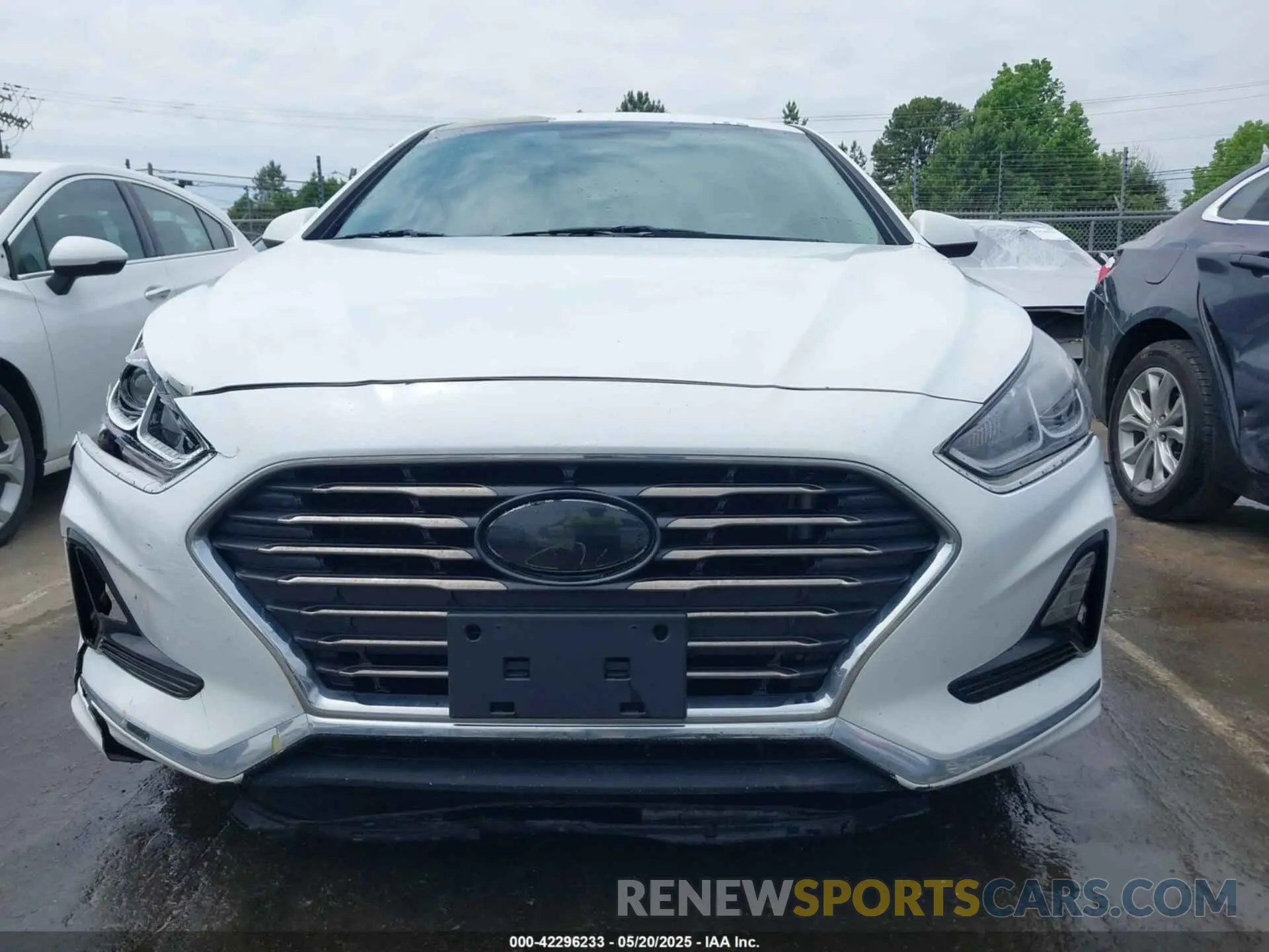 6 Photograph of a damaged car 5NPE24AF5KH774745 HYUNDAI SONATA 2019