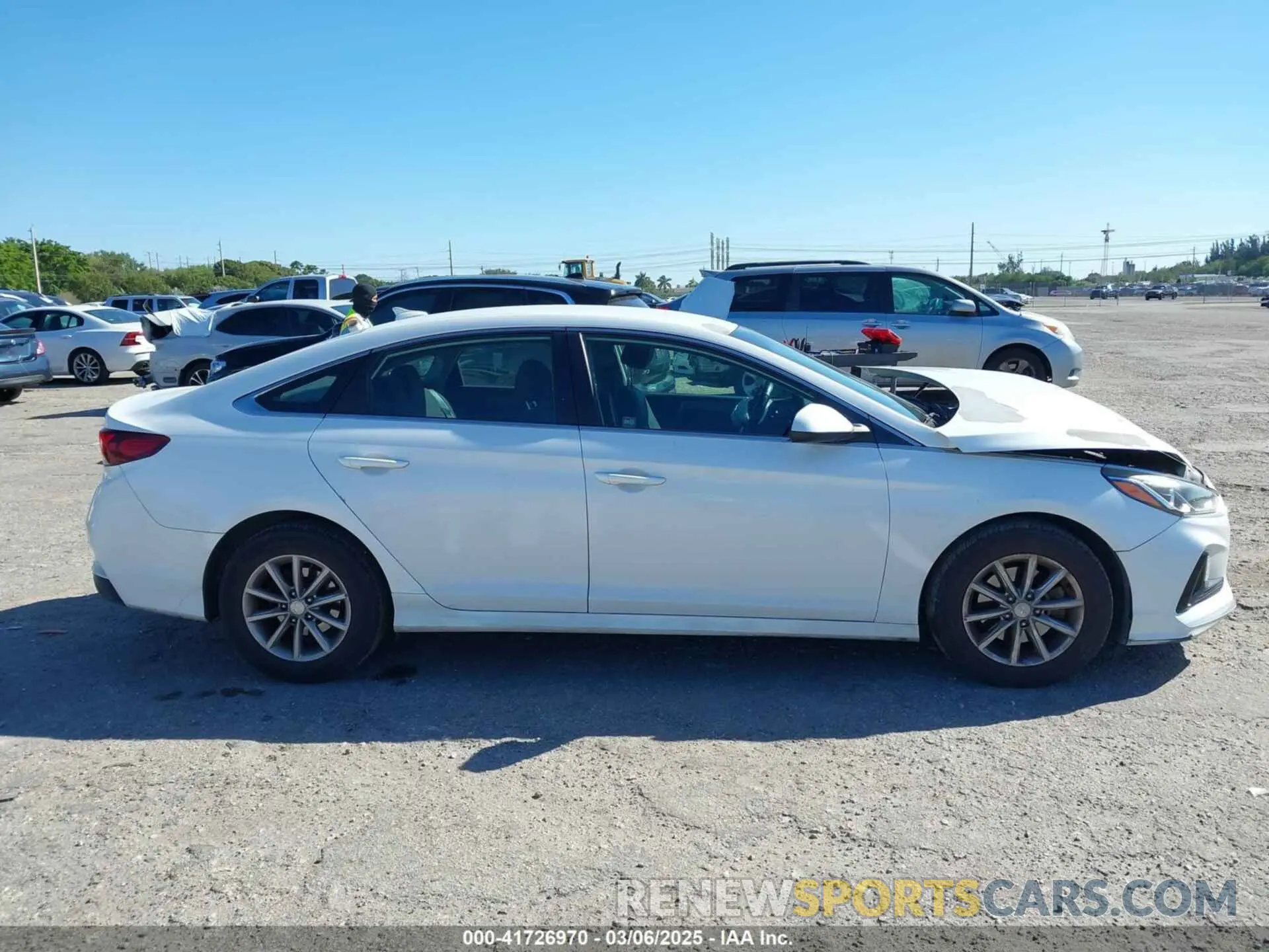 13 Photograph of a damaged car 5NPE24AF5KH787107 HYUNDAI SONATA 2019