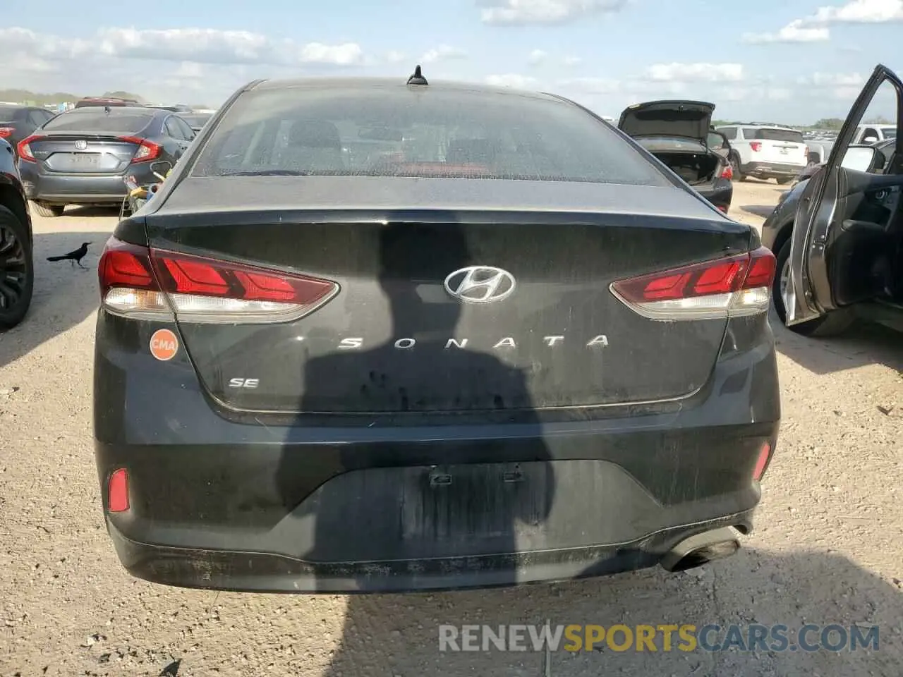 6 Photograph of a damaged car 5NPE24AF5KH789181 HYUNDAI SONATA 2019