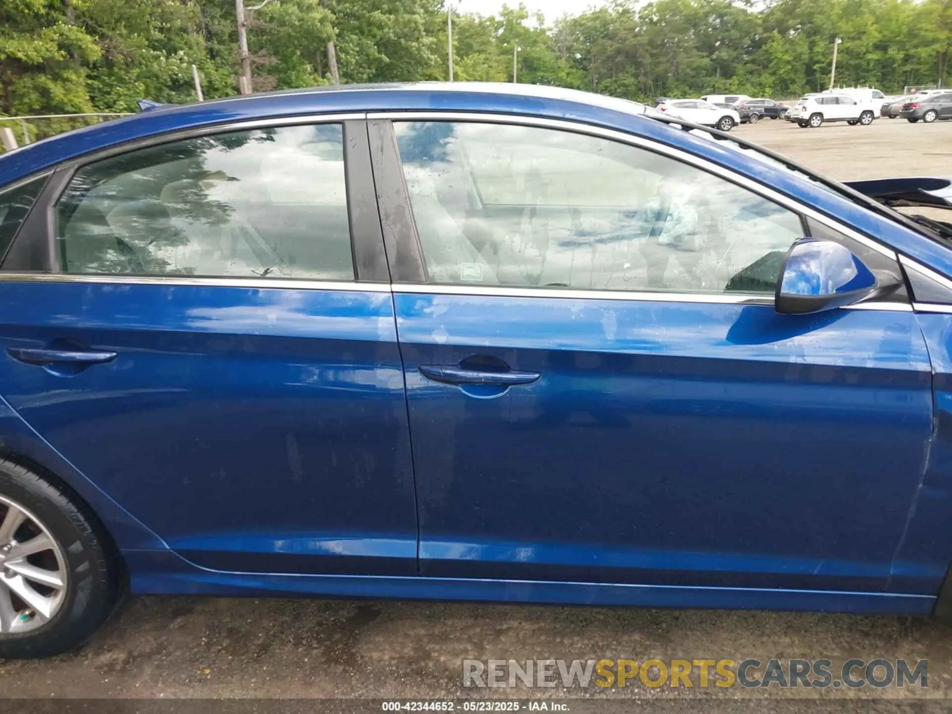 13 Photograph of a damaged car 5NPE24AF5KH790573 HYUNDAI SONATA 2019