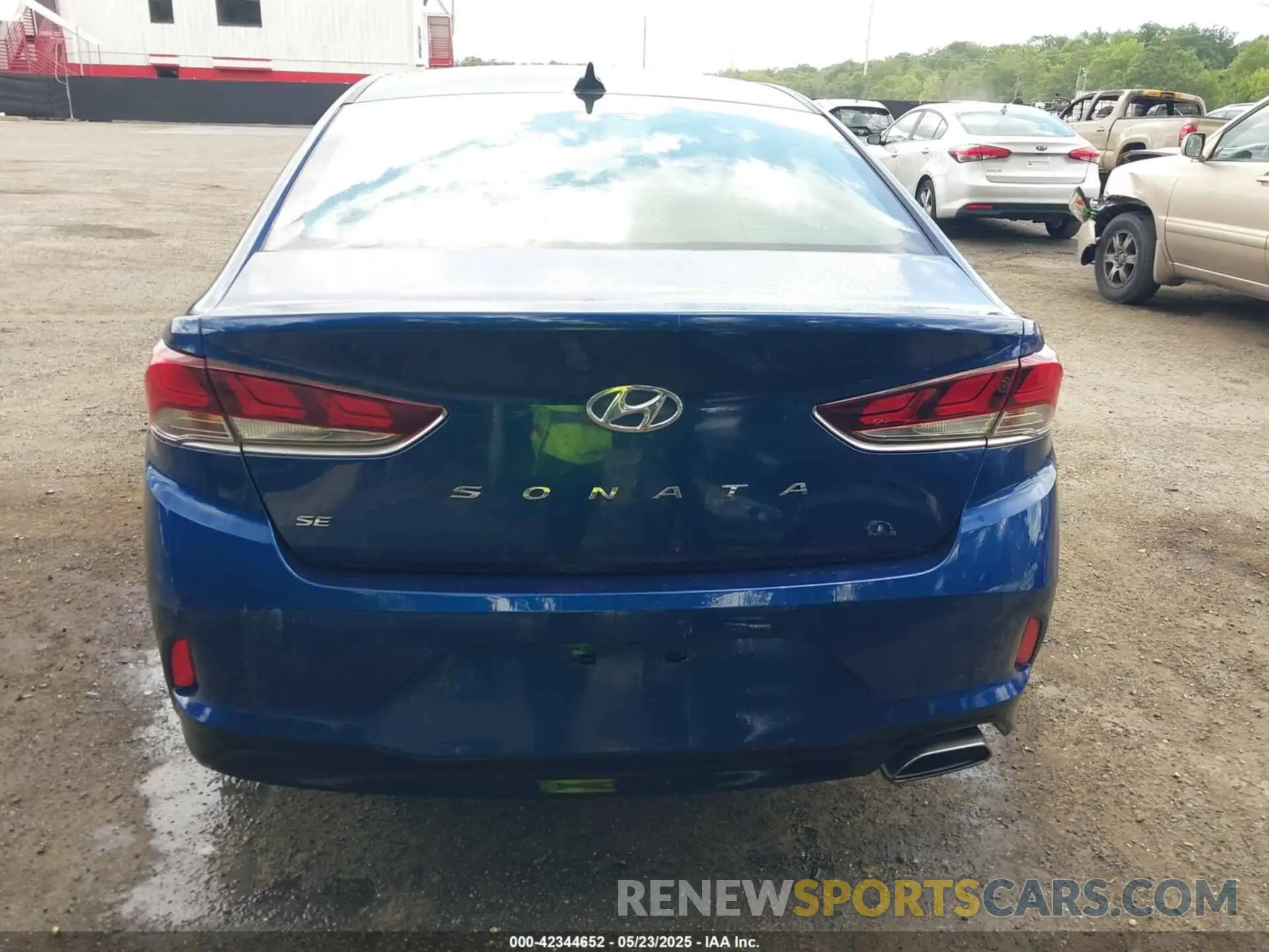 16 Photograph of a damaged car 5NPE24AF5KH790573 HYUNDAI SONATA 2019