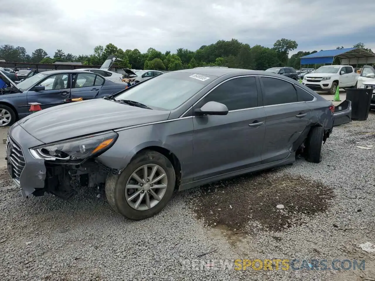 1 Photograph of a damaged car 5NPE24AF5KH801300 HYUNDAI SONATA 2019