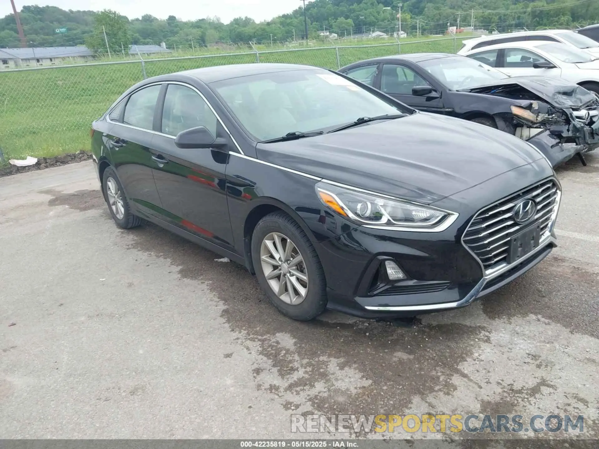 1 Photograph of a damaged car 5NPE24AF5KH805900 HYUNDAI SONATA 2019