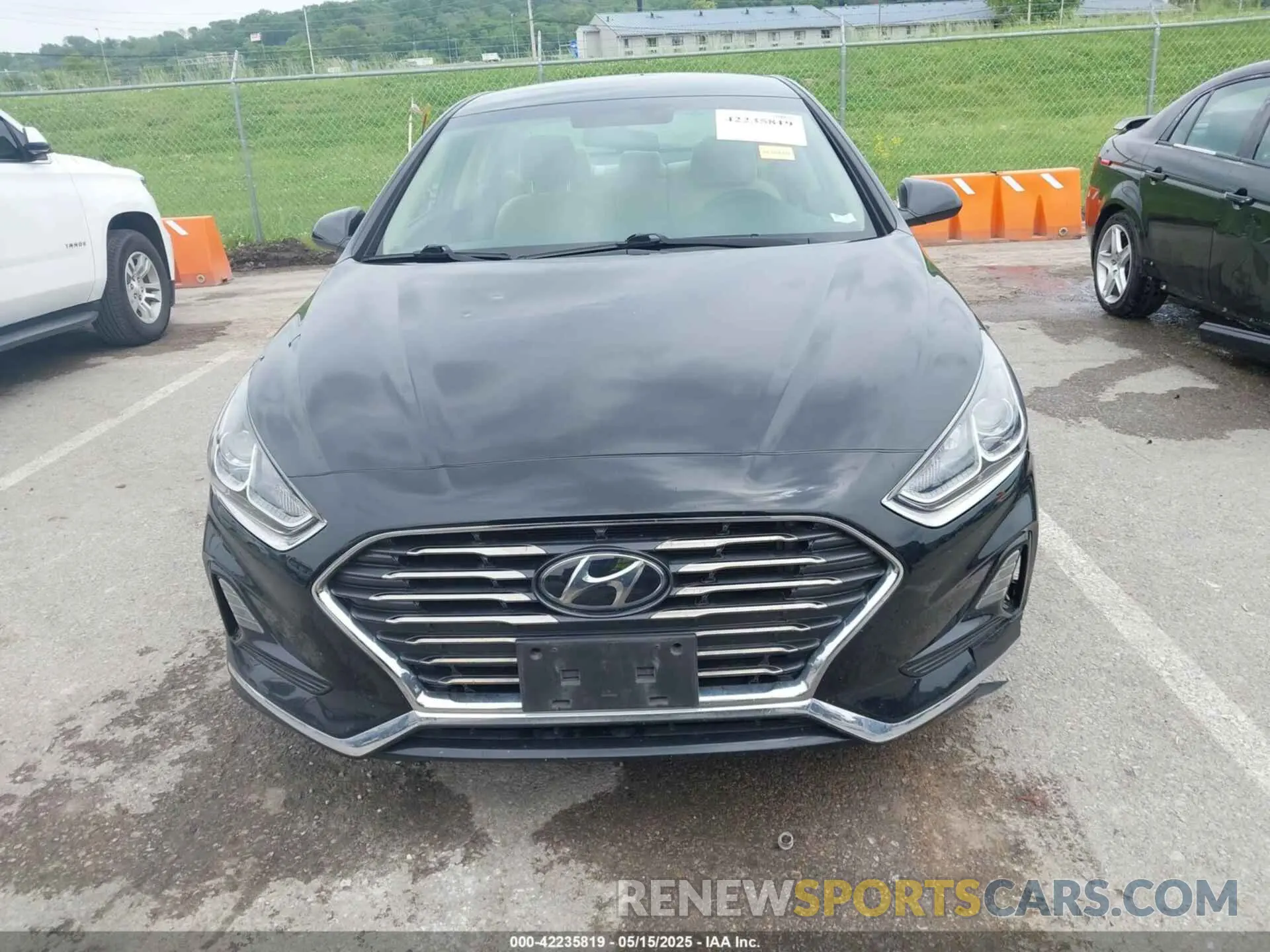 12 Photograph of a damaged car 5NPE24AF5KH805900 HYUNDAI SONATA 2019