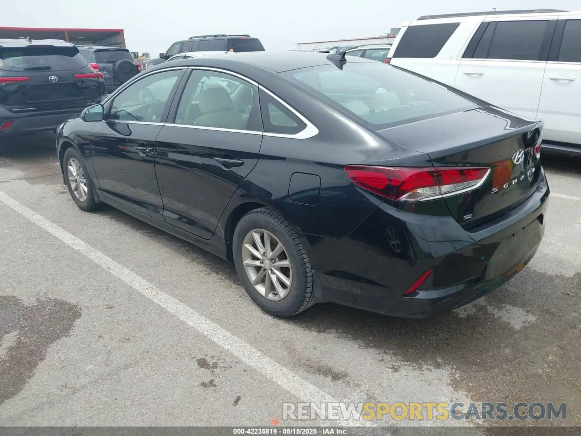 3 Photograph of a damaged car 5NPE24AF5KH805900 HYUNDAI SONATA 2019